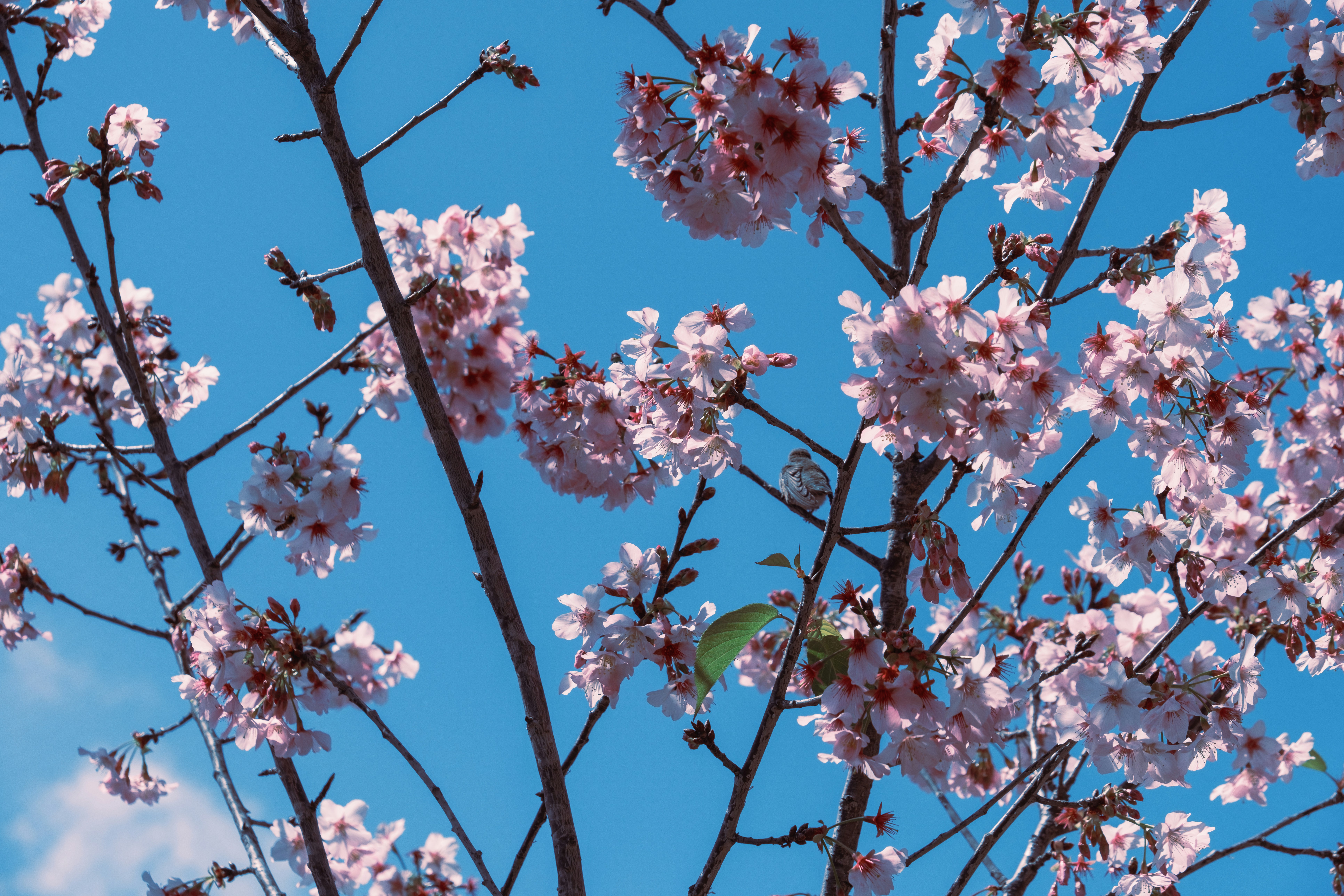 Photo by april_vasquez