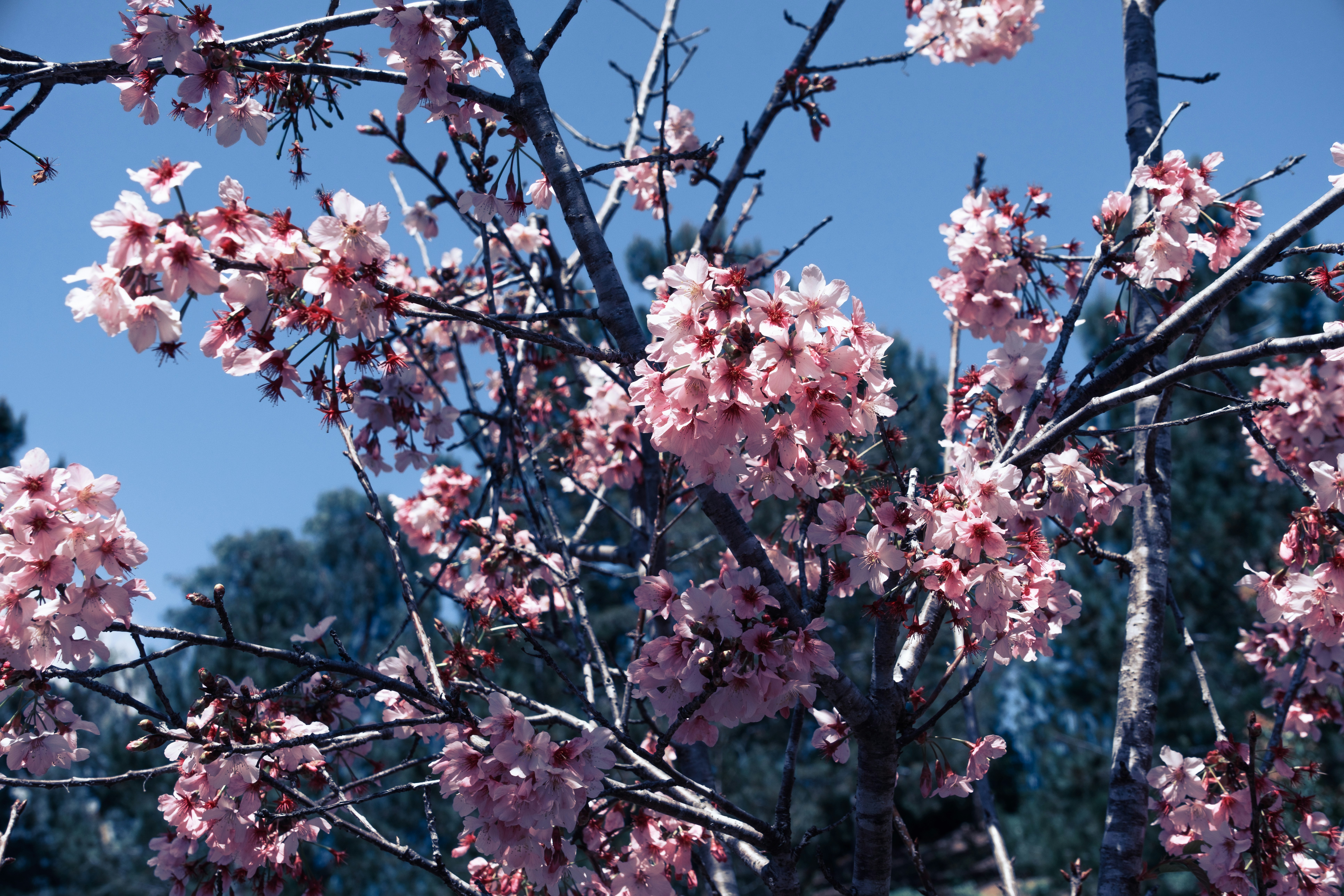 Photo by april_vasquez