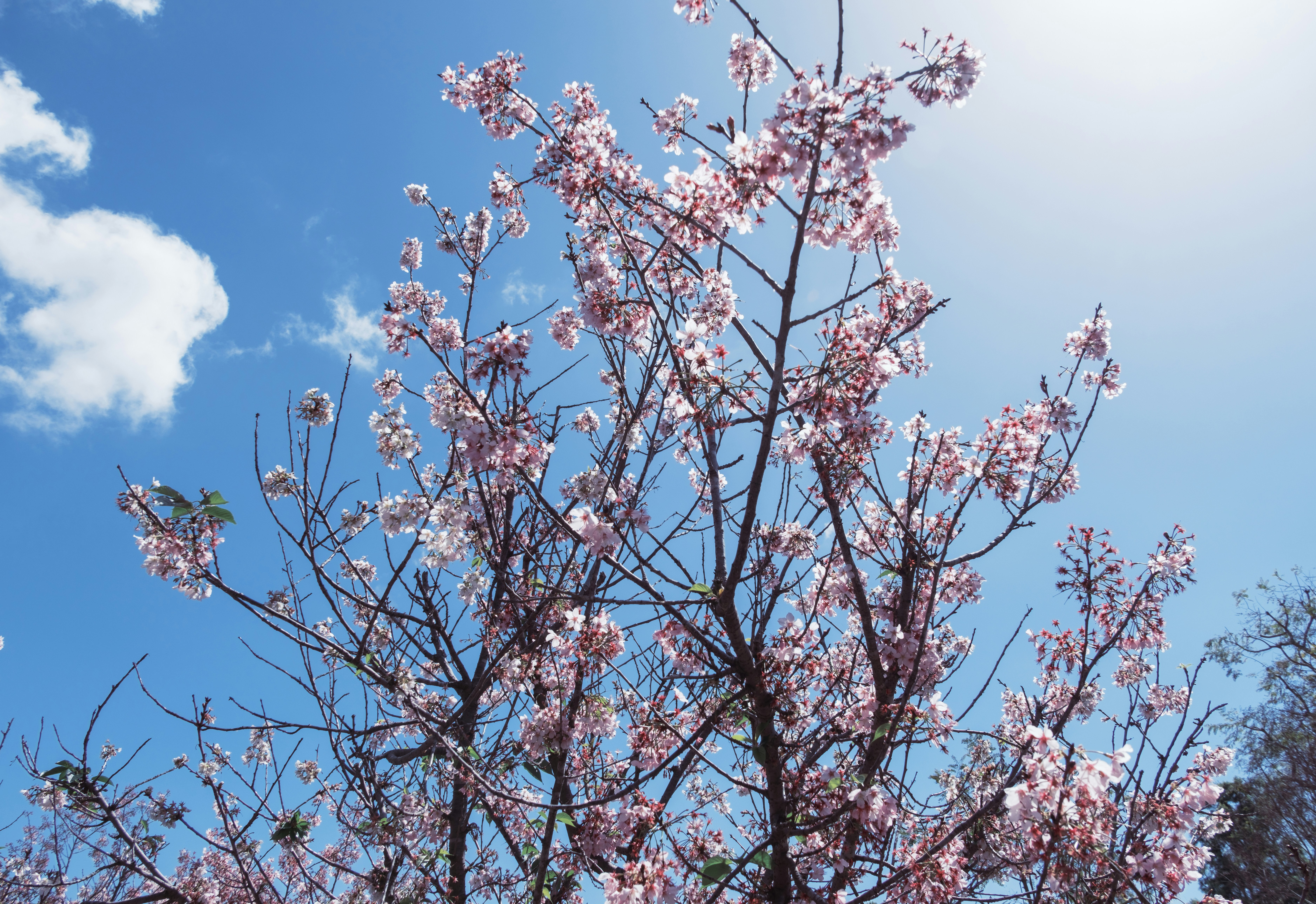 Photo by april_vasquez