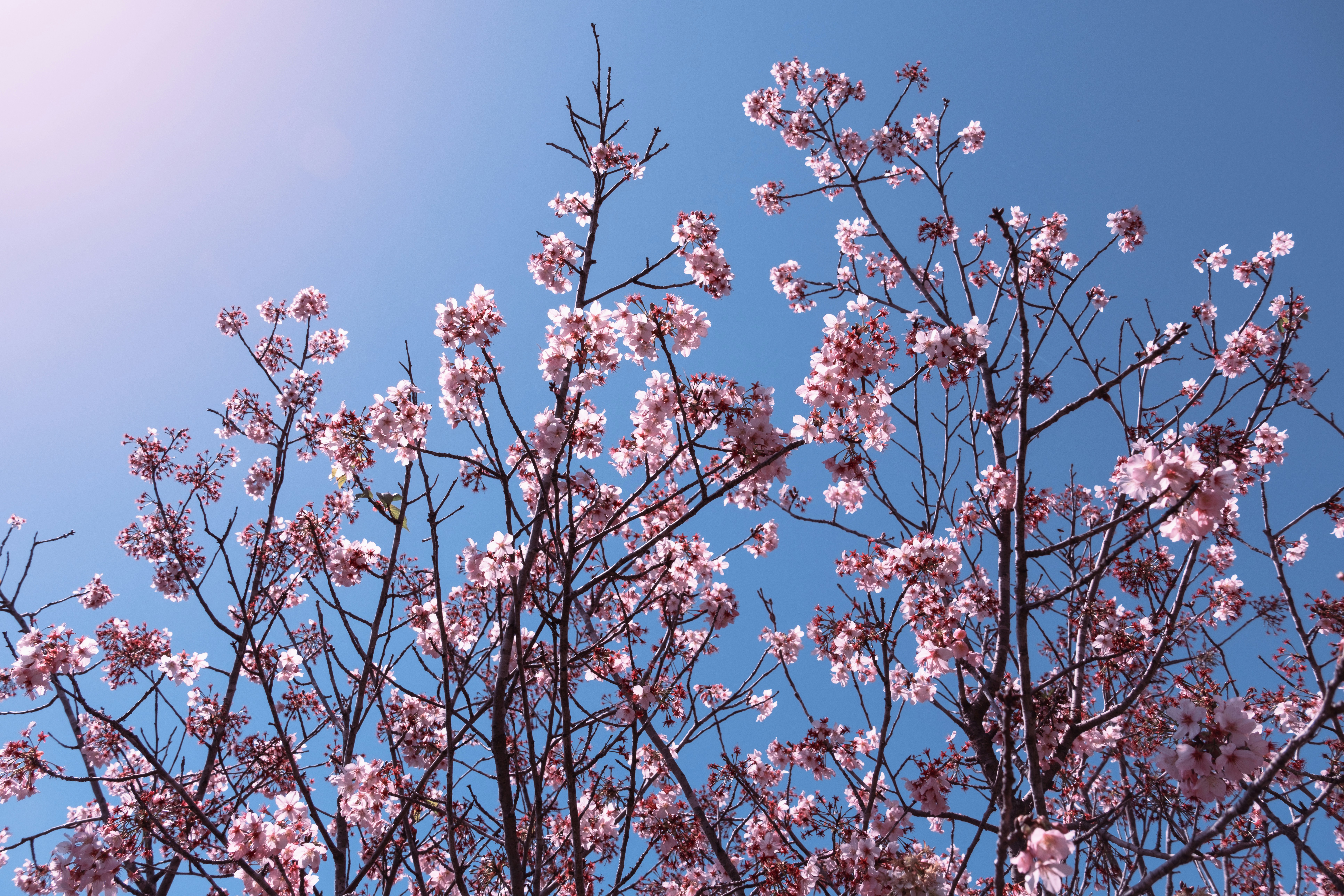 Photo by april_vasquez