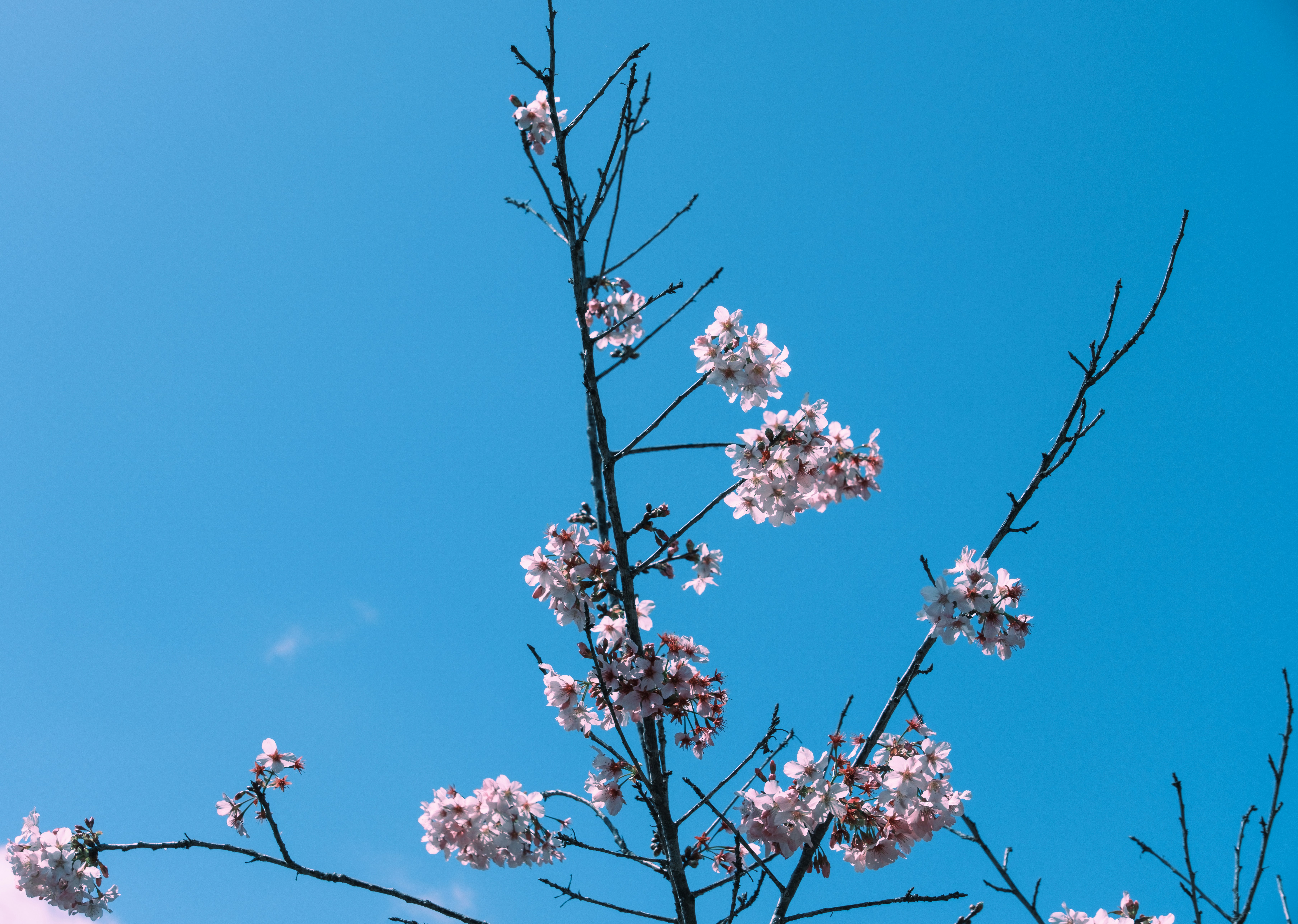 Photo by april_vasquez