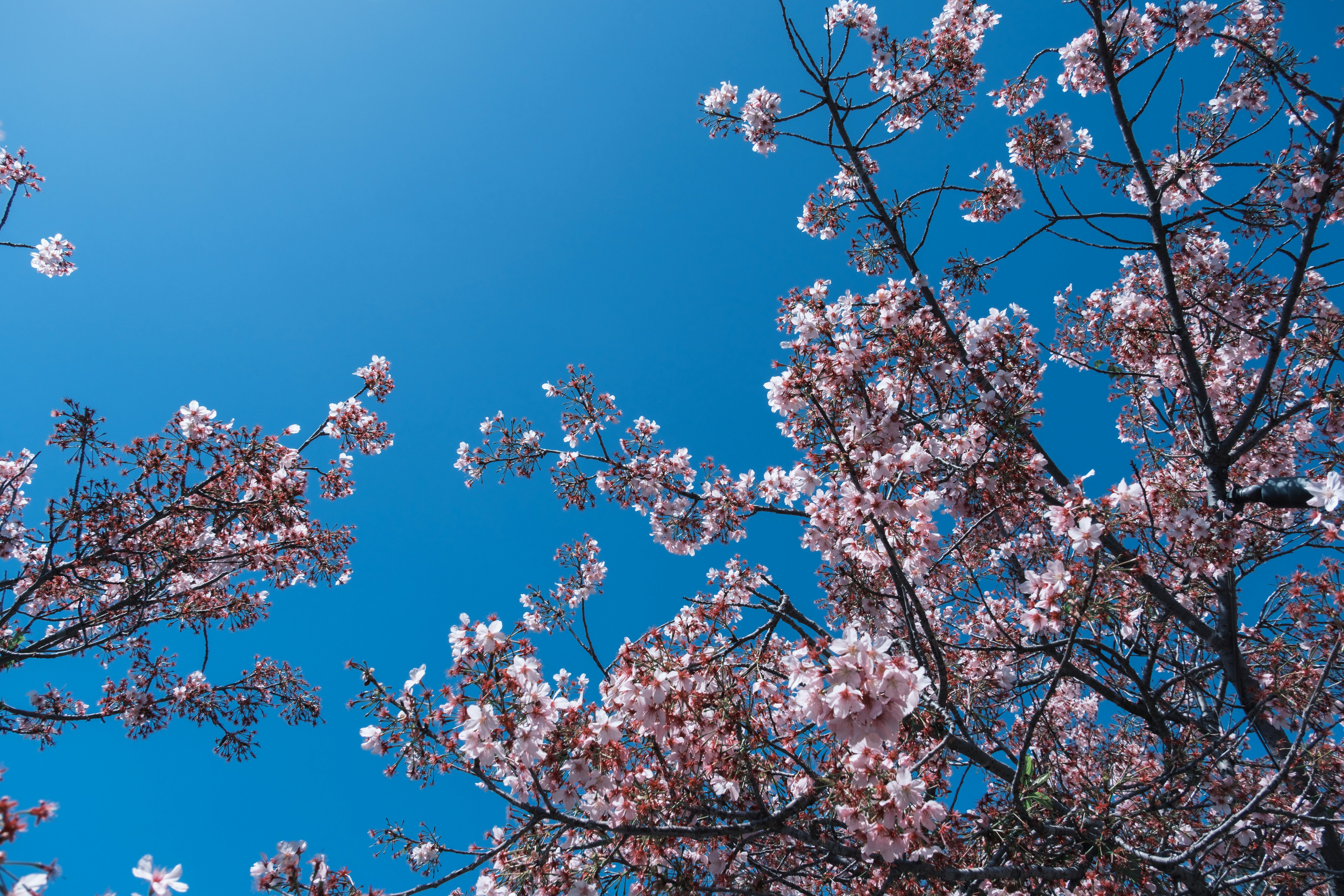 Photo by april_vasquez