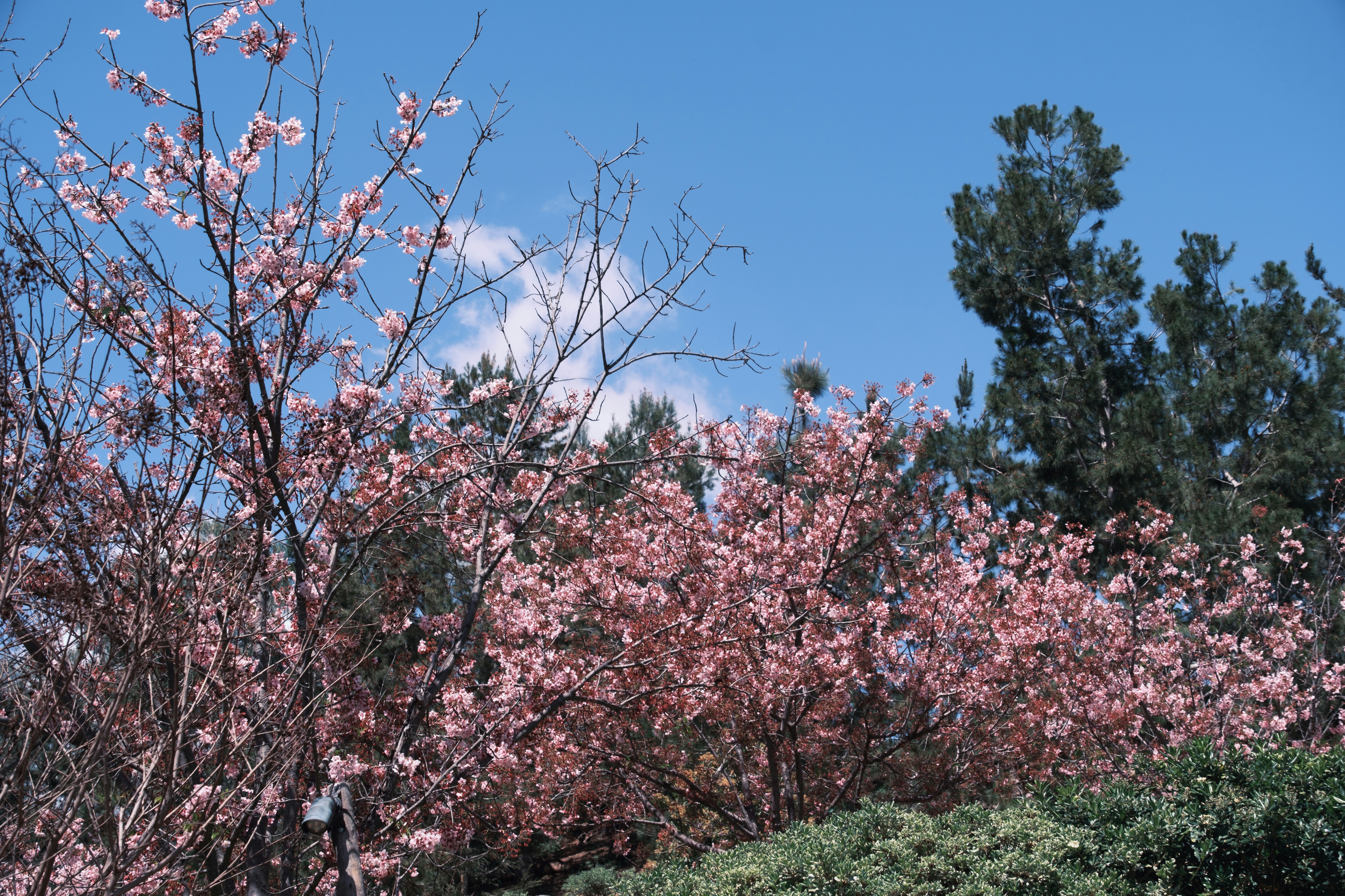 Photo by april_vasquez