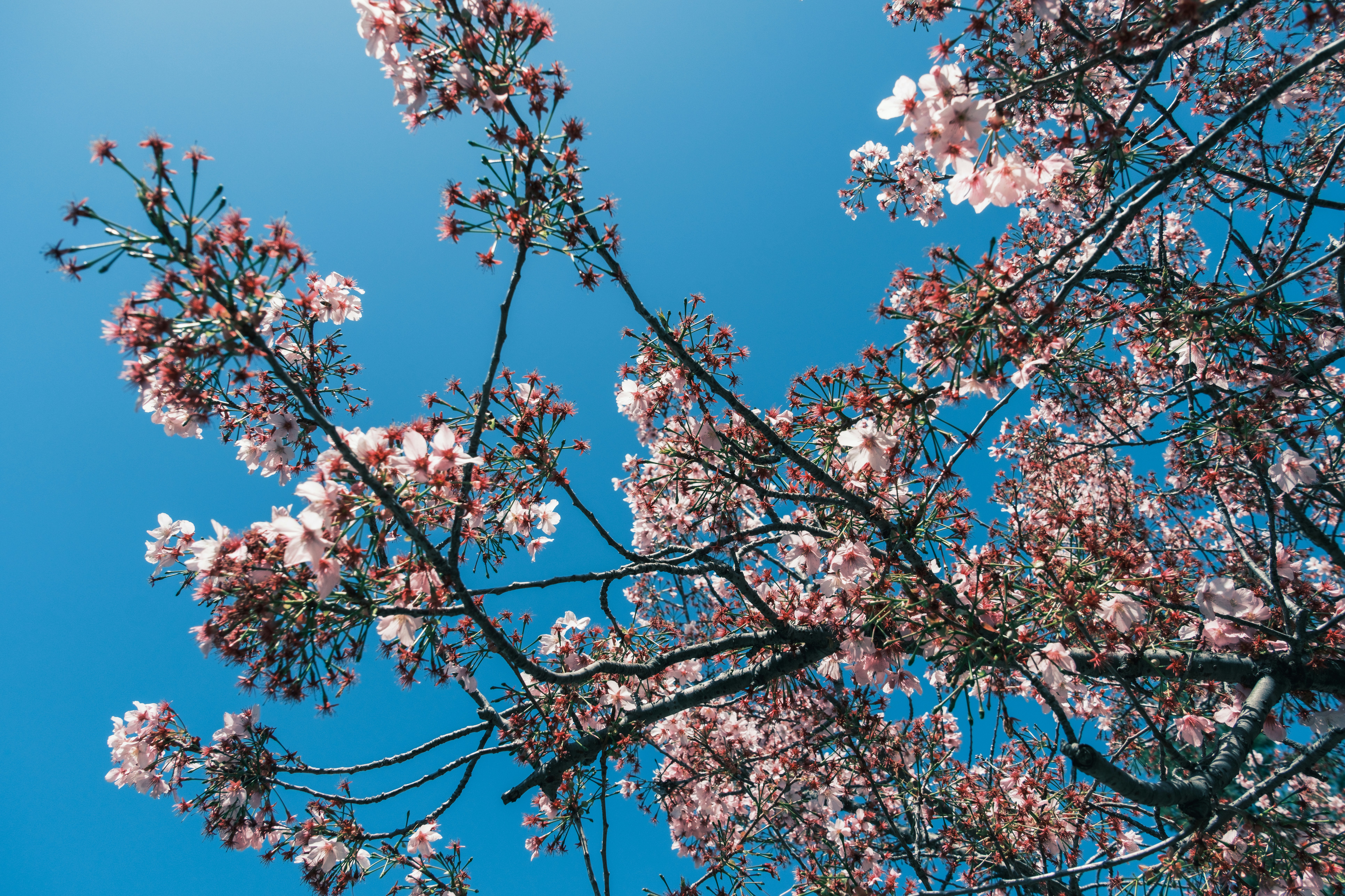 calendar highlighting spring and summer months - 2 bedroom apartments Chicago