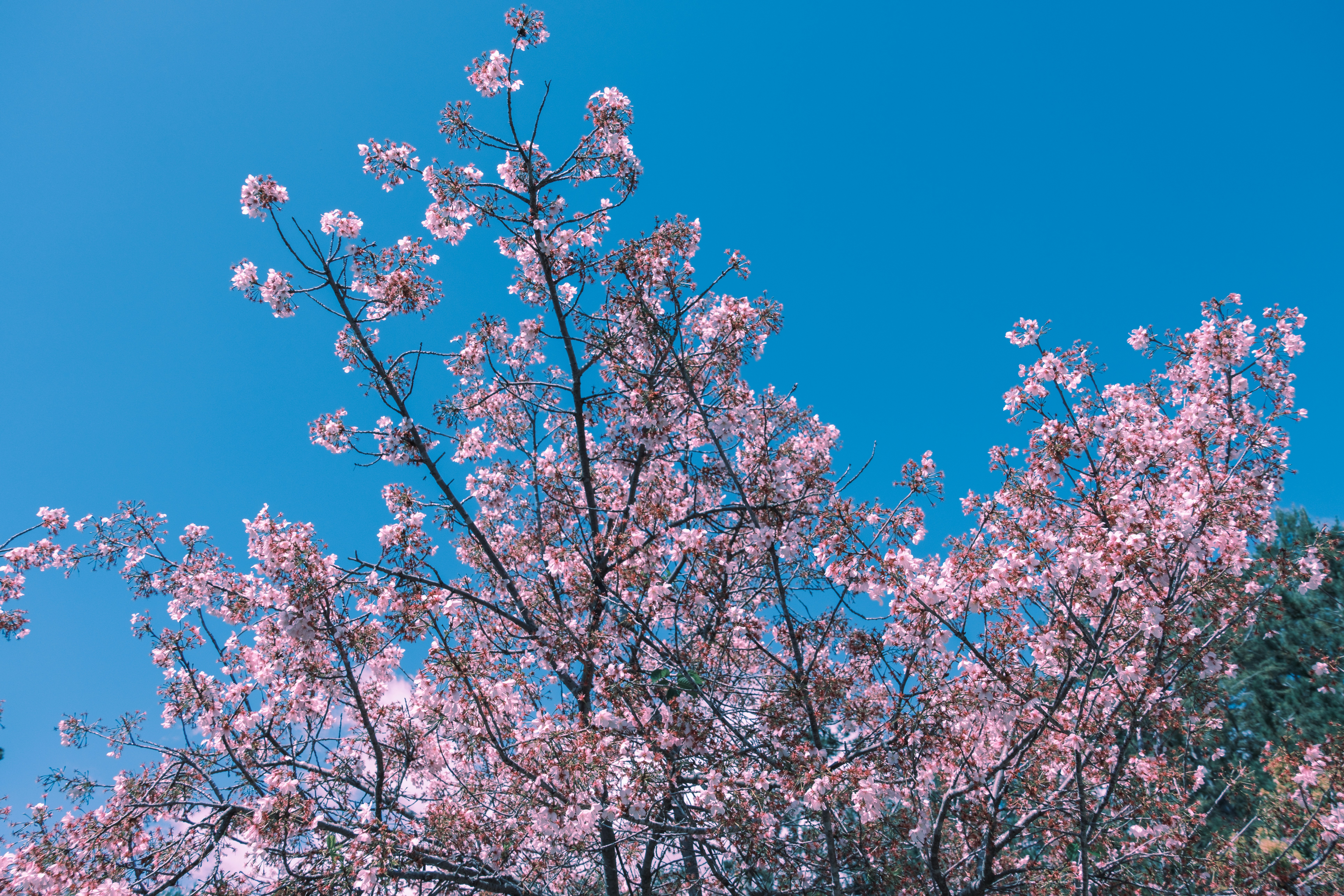 Photo by april_vasquez