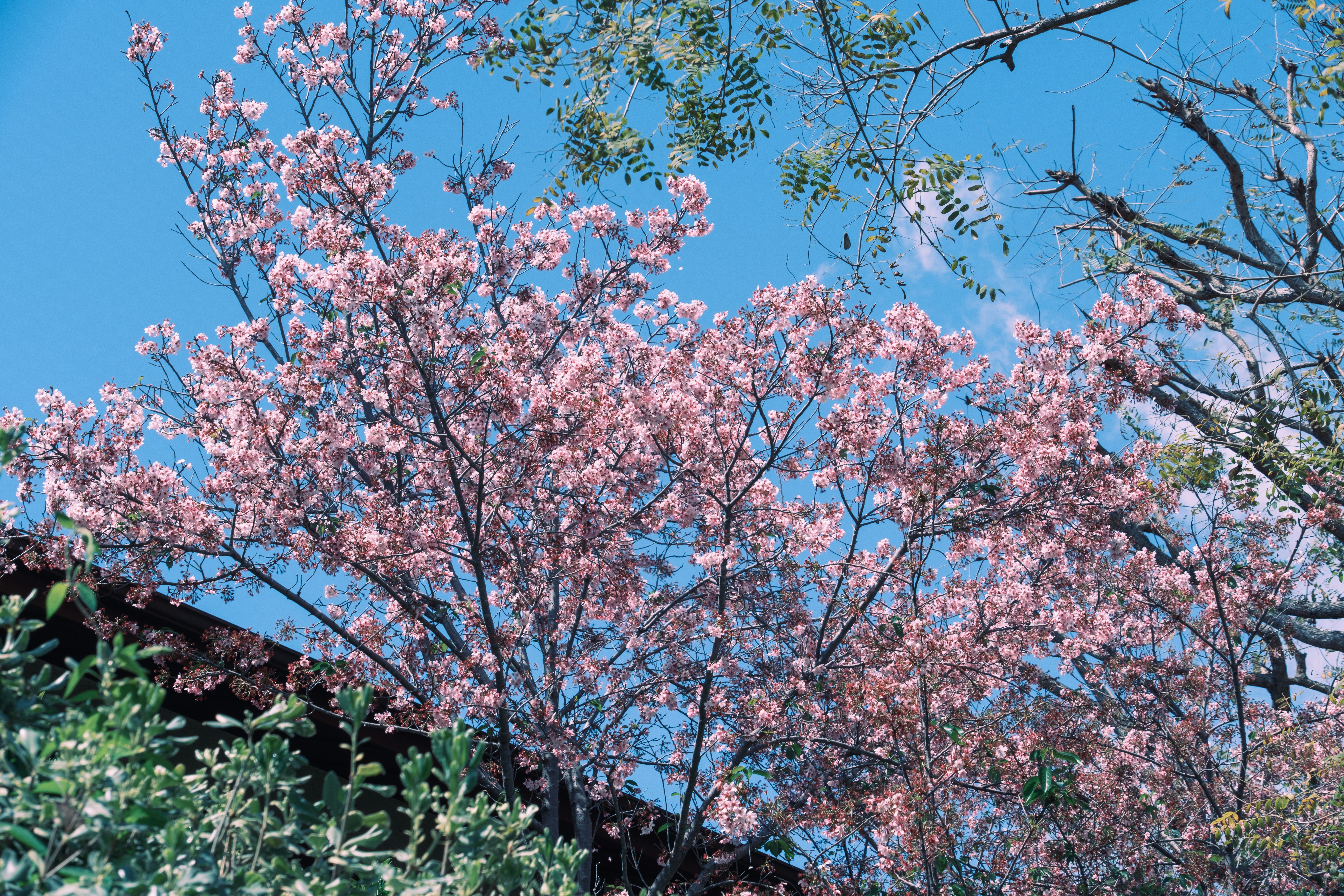 Photo by april_vasquez