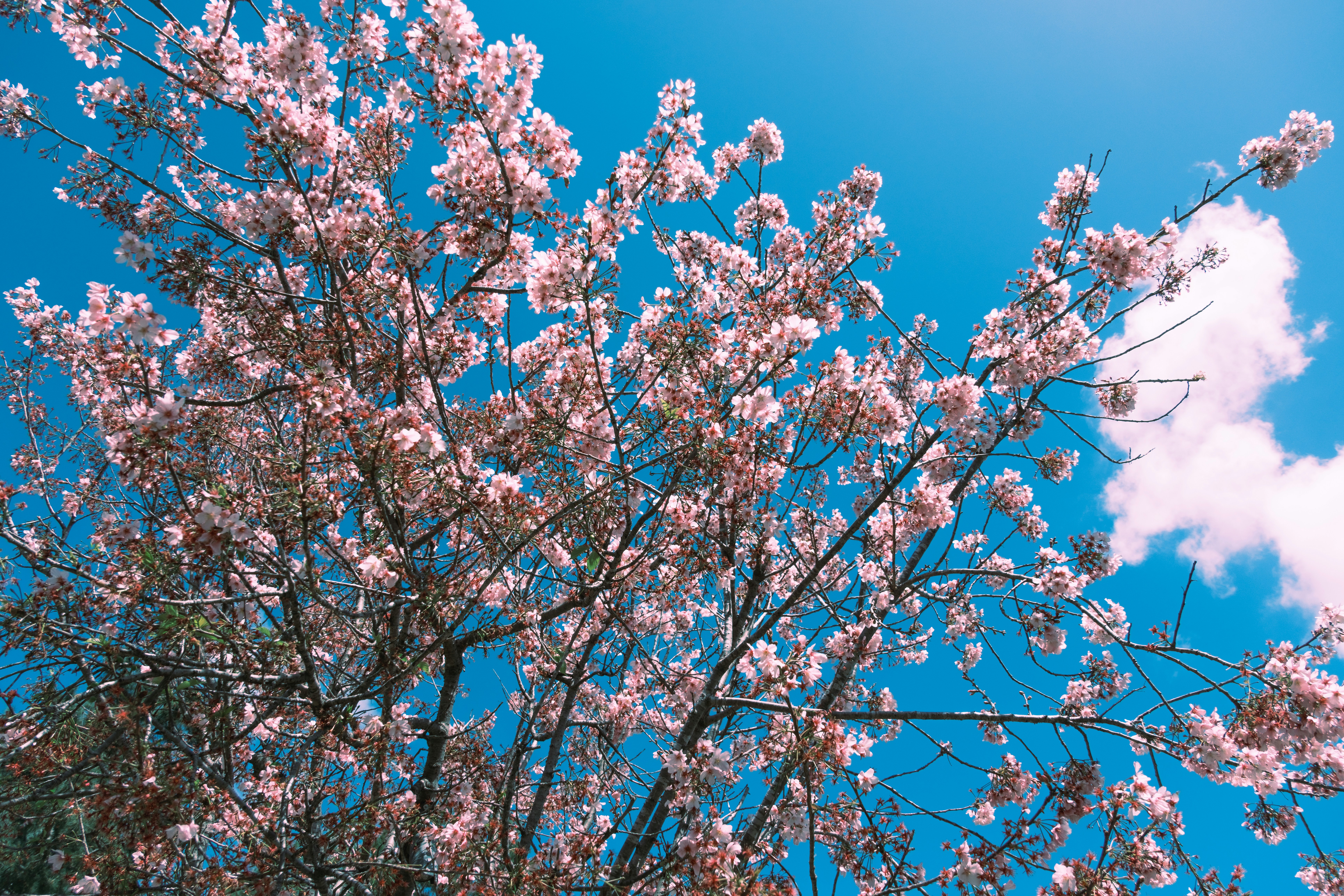 Photo by april_vasquez