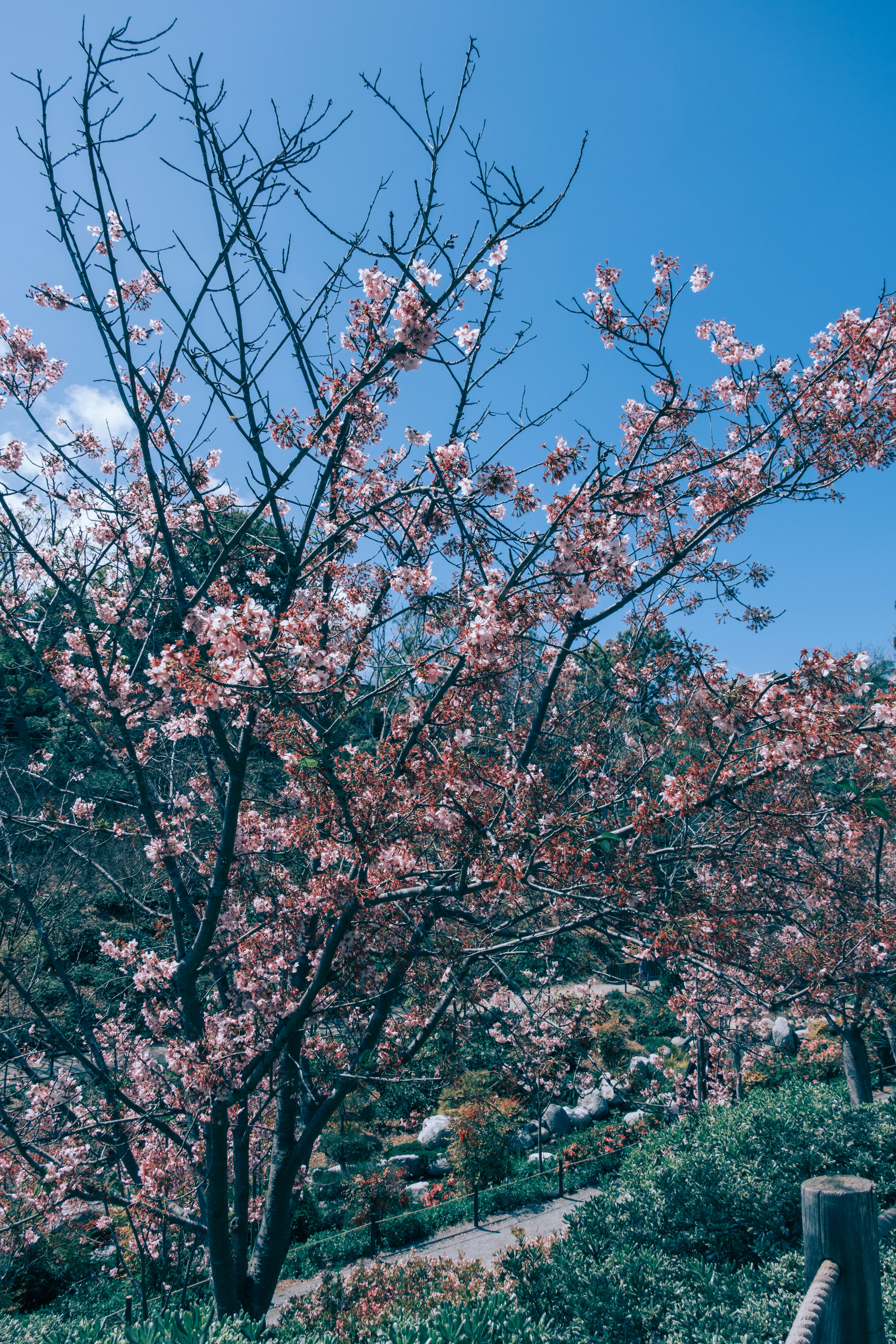 Photo by april_vasquez