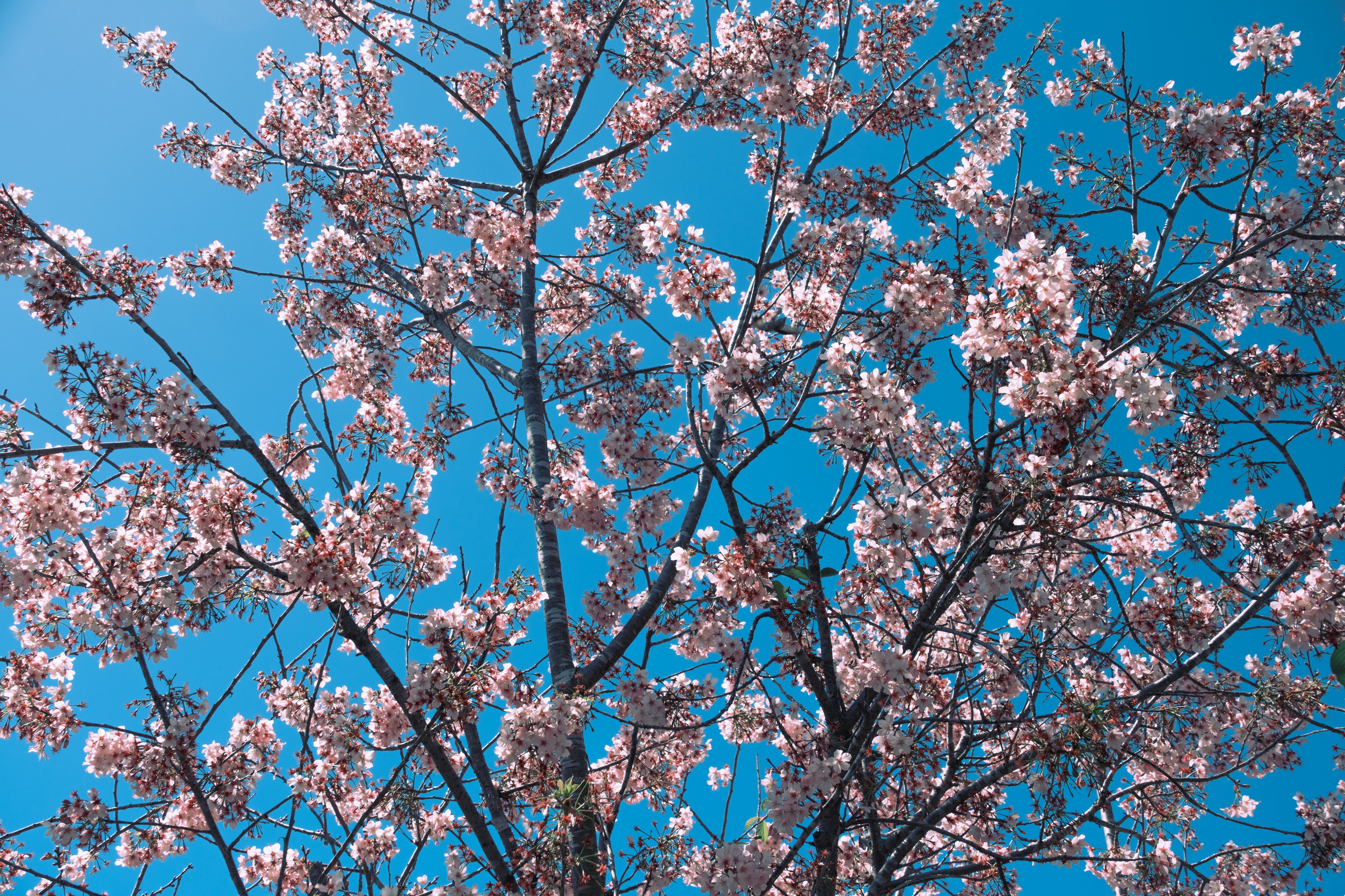 Photo by april_vasquez