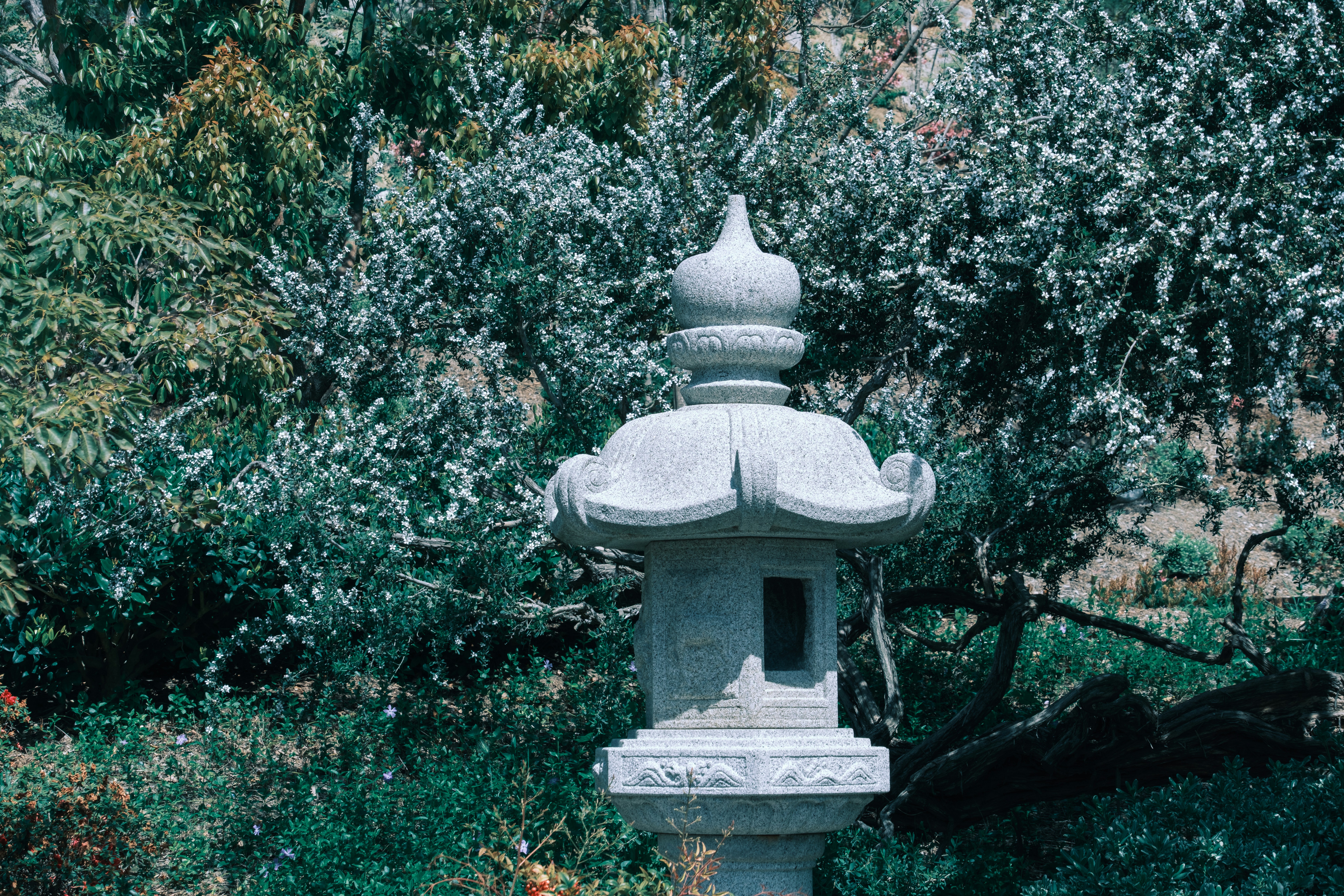 Photo by april_vasquez