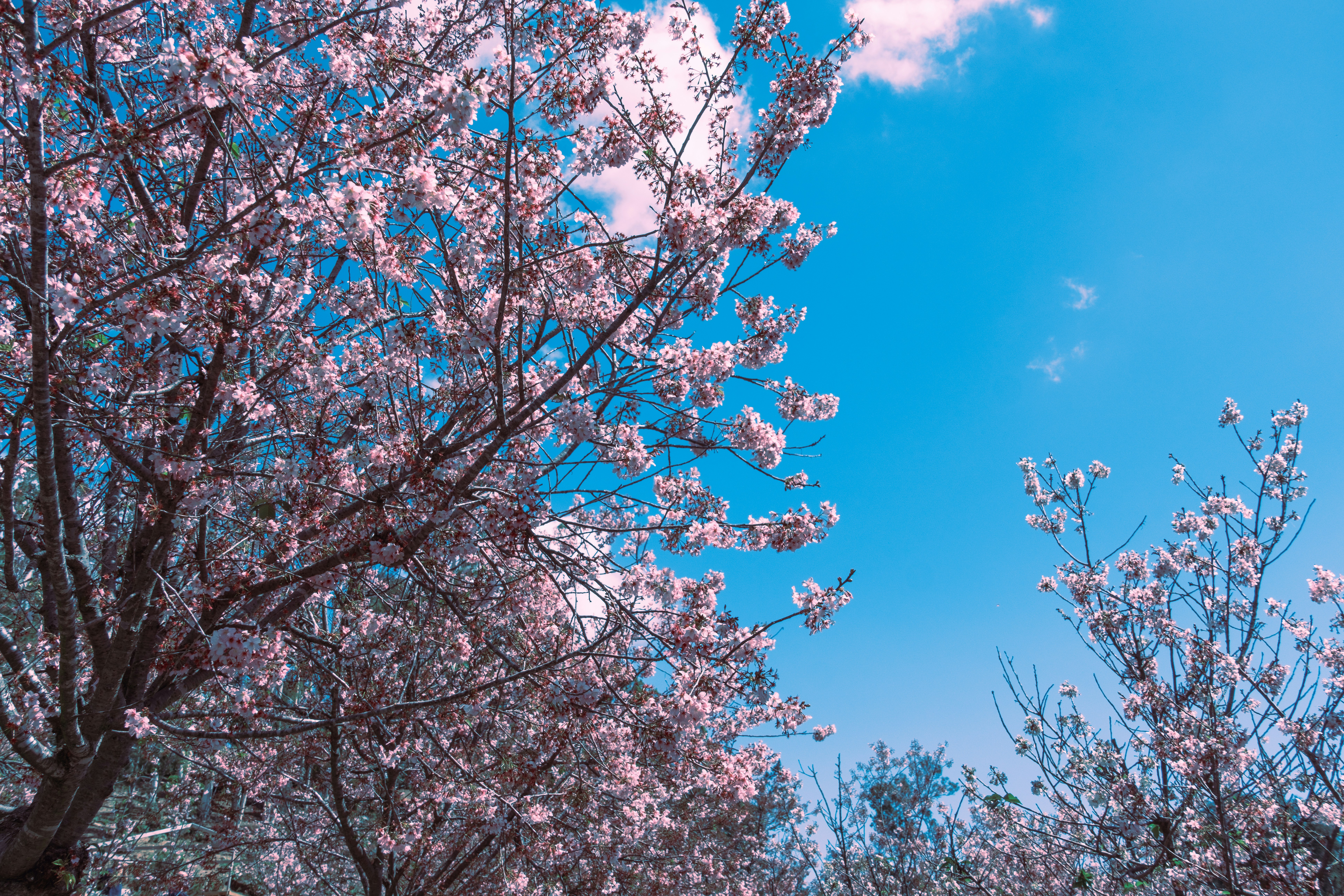 Photo by april_vasquez