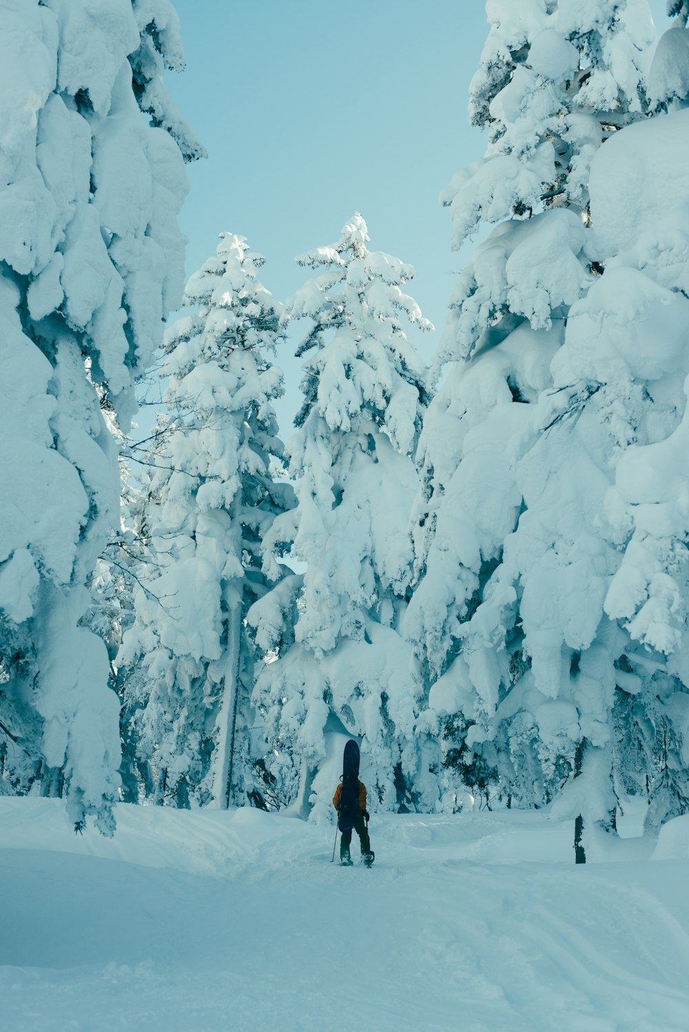 a person riding skis down a snow covered slope