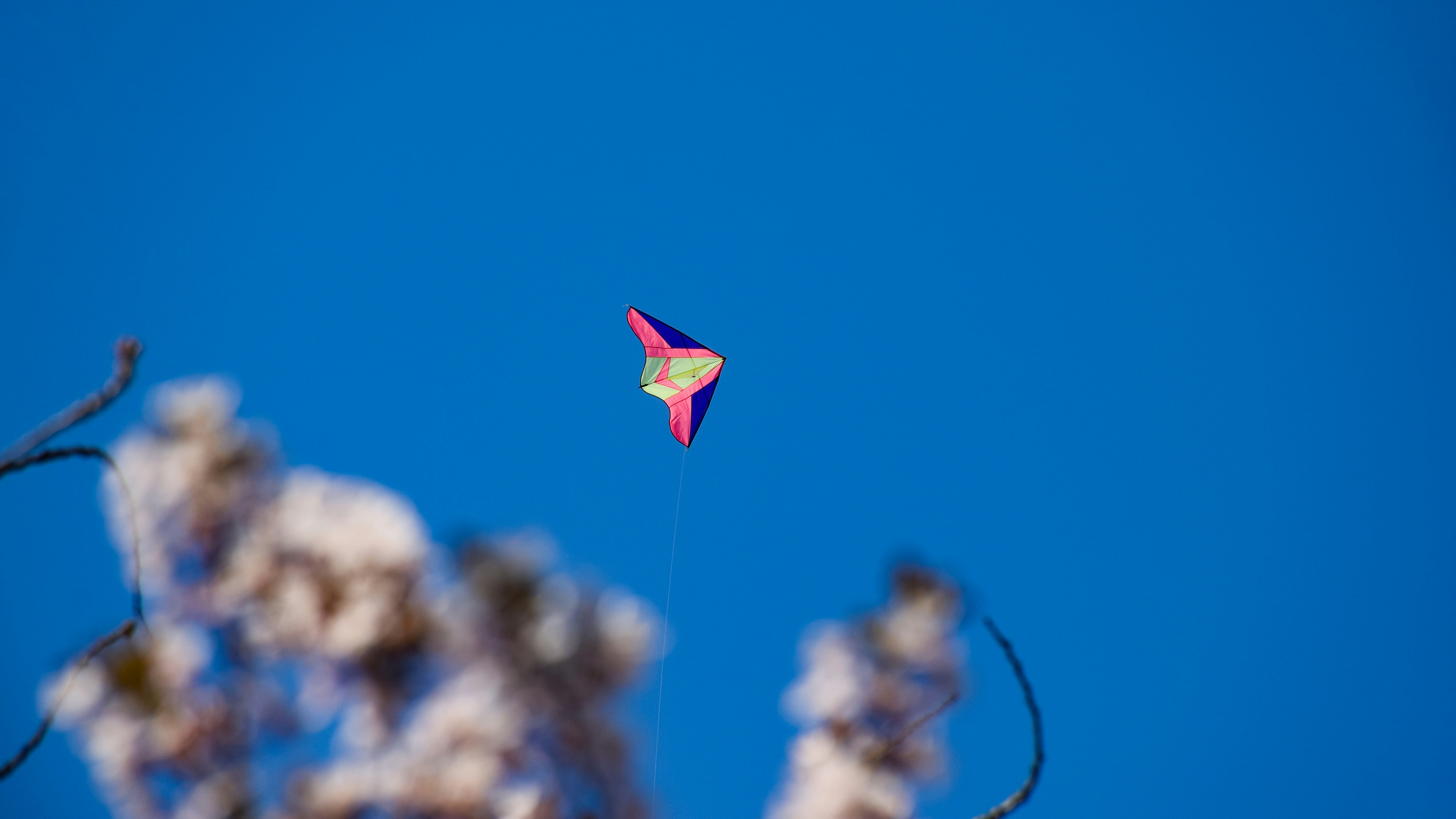 A kite flying high up in the sky photo Free Toy Image on Unsplash