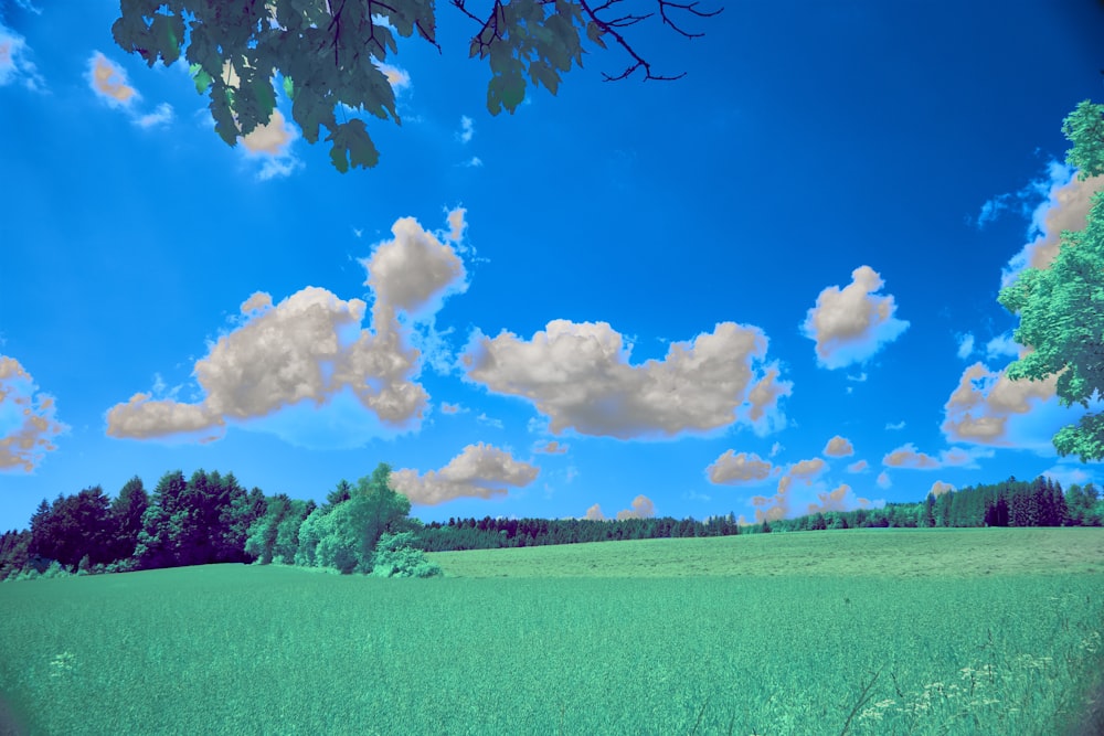 a green field with trees and clouds in the sky