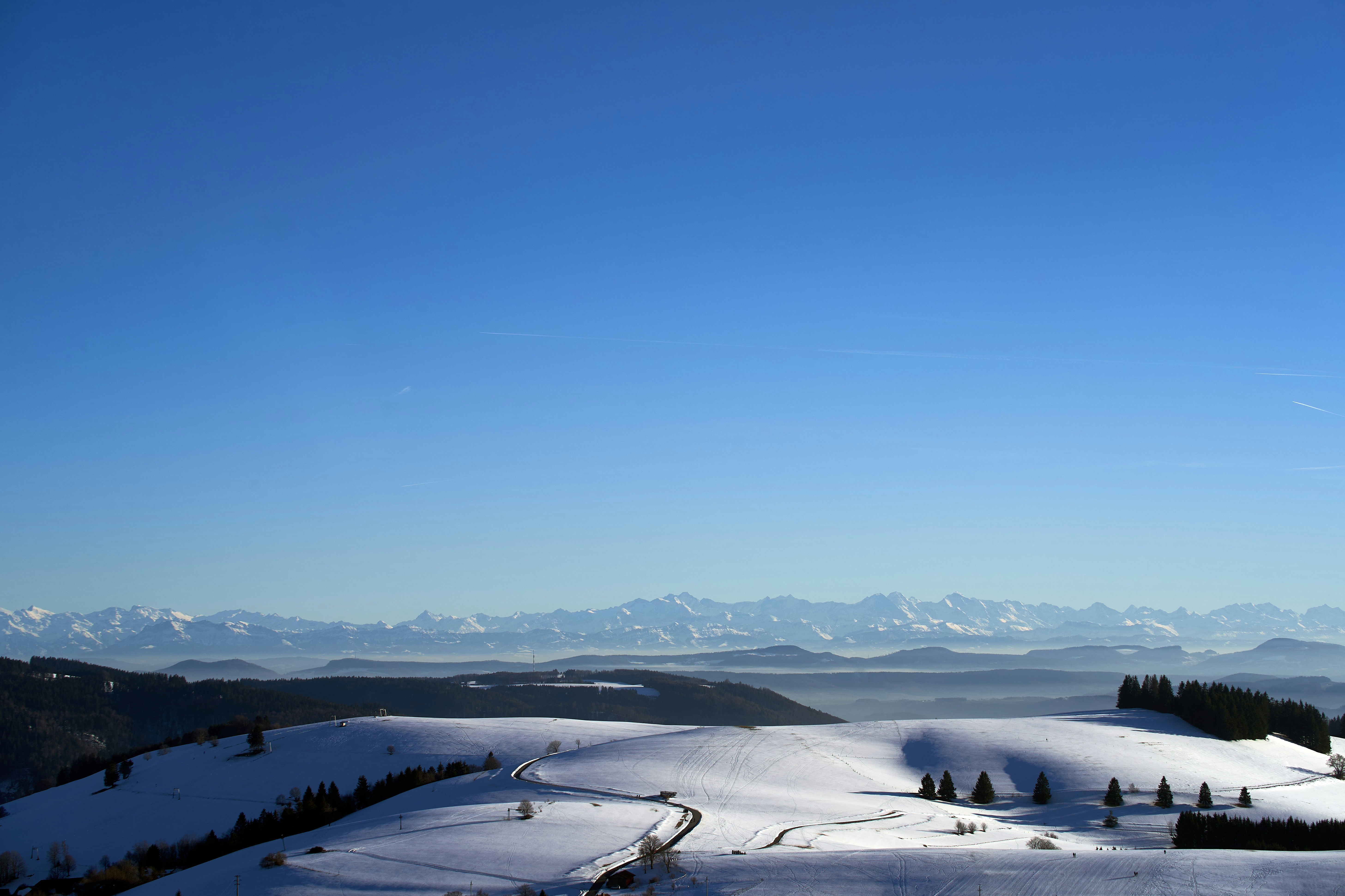 Photo by wolfgang_hasselmann