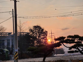 Sunset view over a lot with electricity poles and green surroundings.