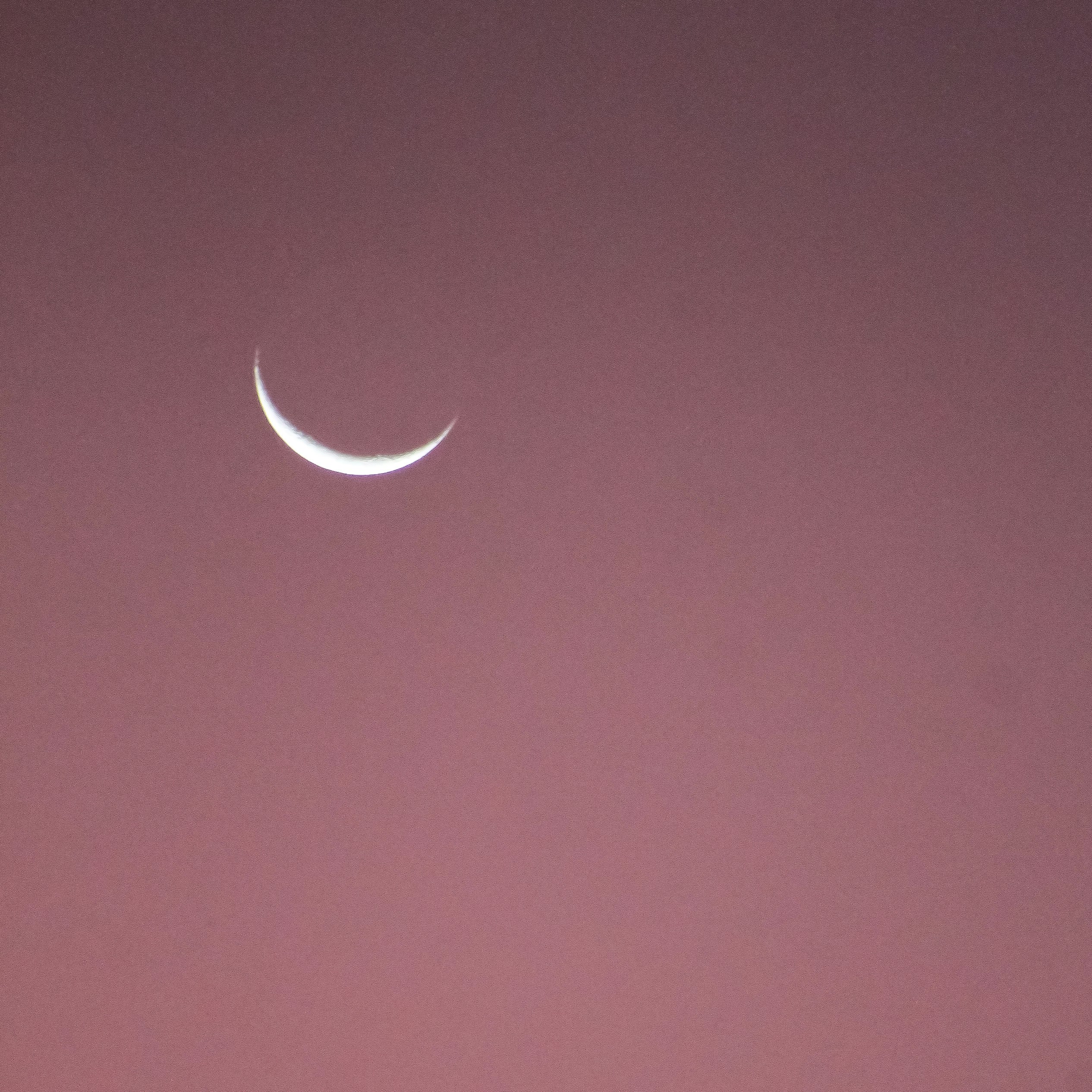 Photo by carolmiliani