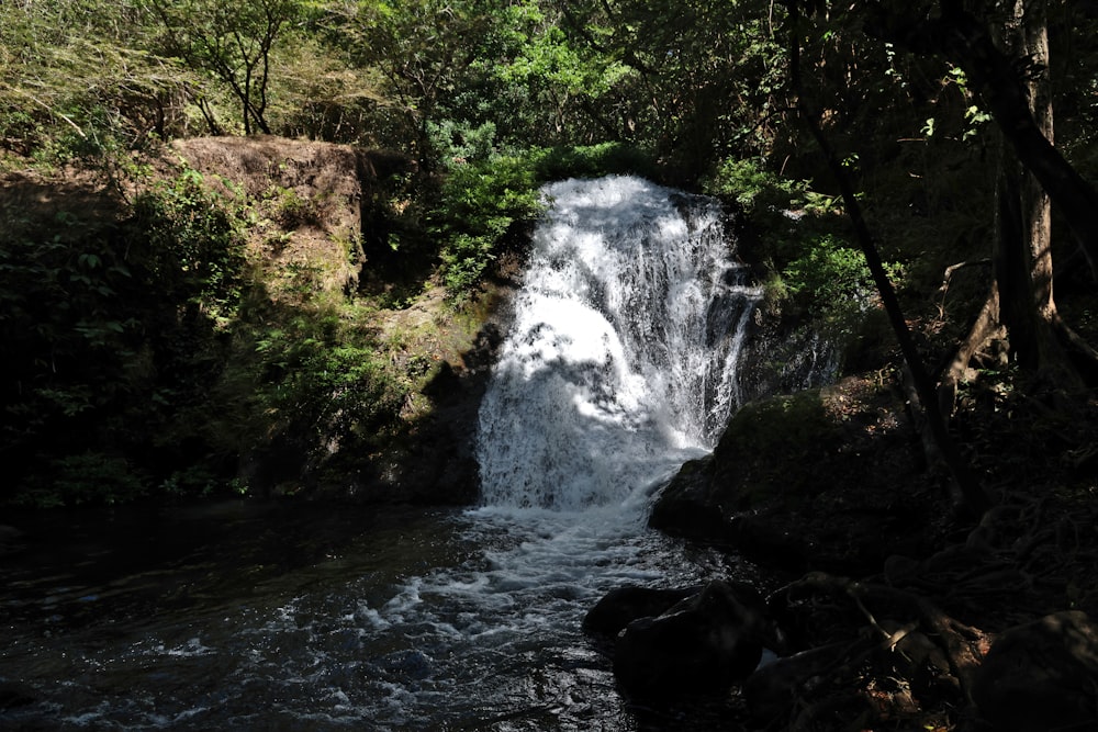 a small waterfall in the middle of a forest