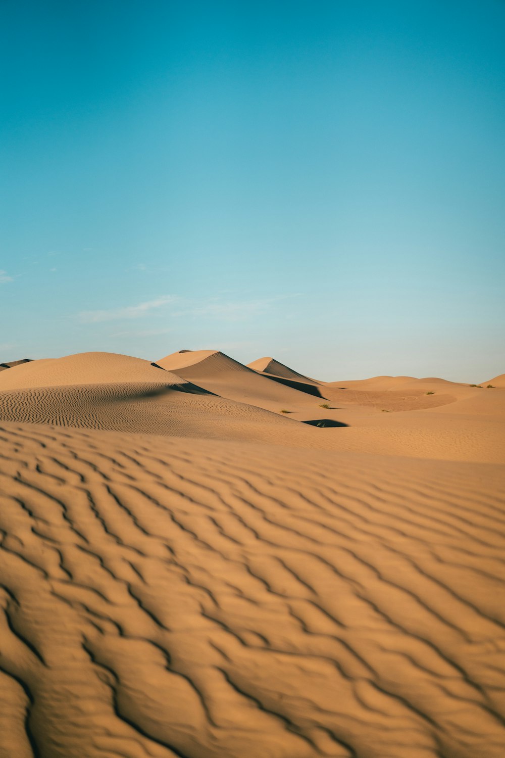 a sandy area with a blue sky in the background