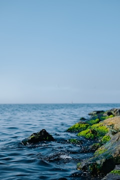 A calm ocean scene with clear blue water meeting the horizon. The foreground features rocks covered in bright green moss, partially submerged in the water. The sky above is clear and blue, enhancing the tranquil atmosphere.