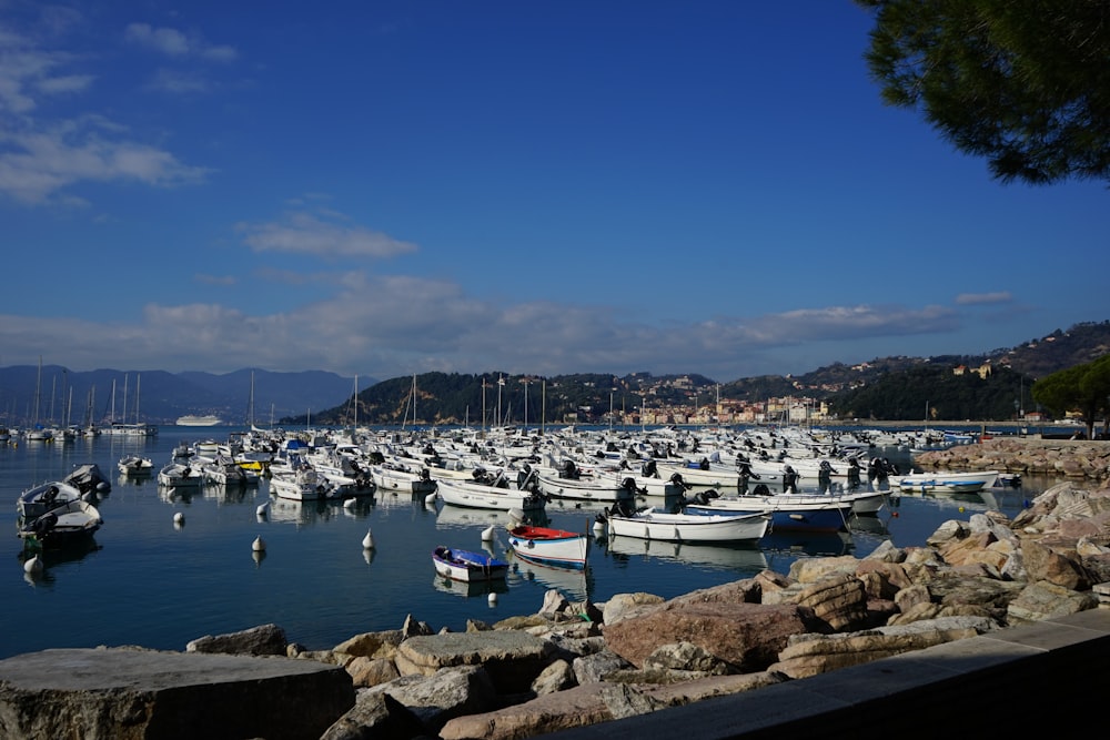 a bunch of boats that are in the water