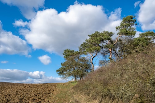 A serene plot of land ready for development under a clear sky.