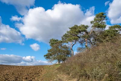 A serene plot of land ready for building with open skies.