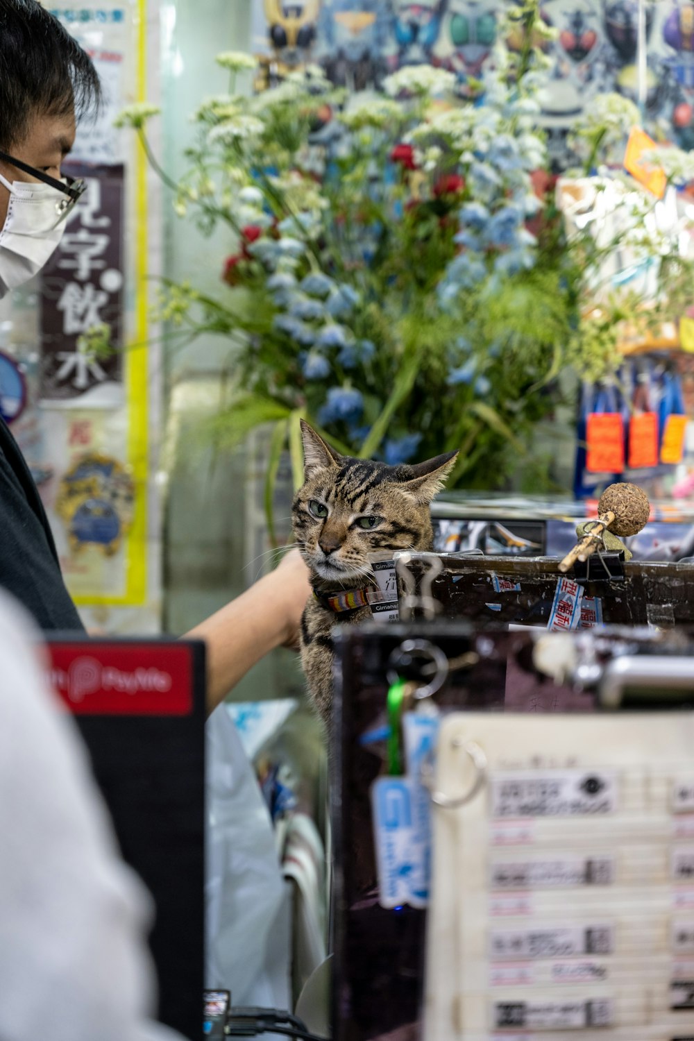 a man wearing a face mask while petting a cat