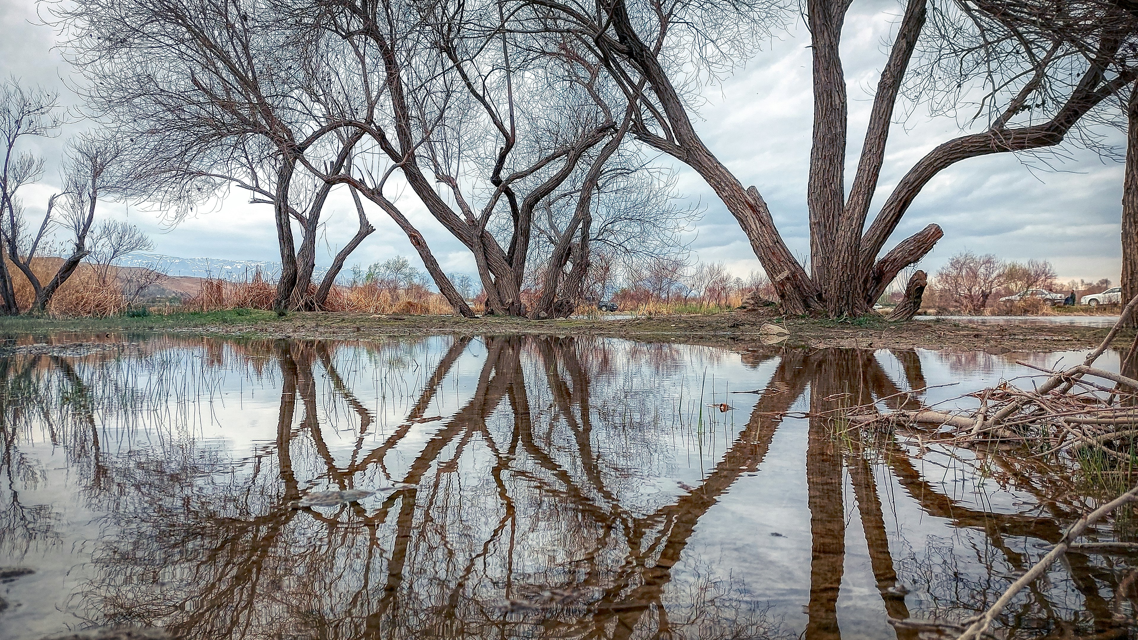 Photo by aliarjmandi