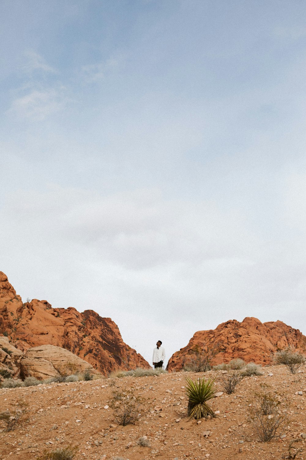 Una persona parada en medio de un desierto