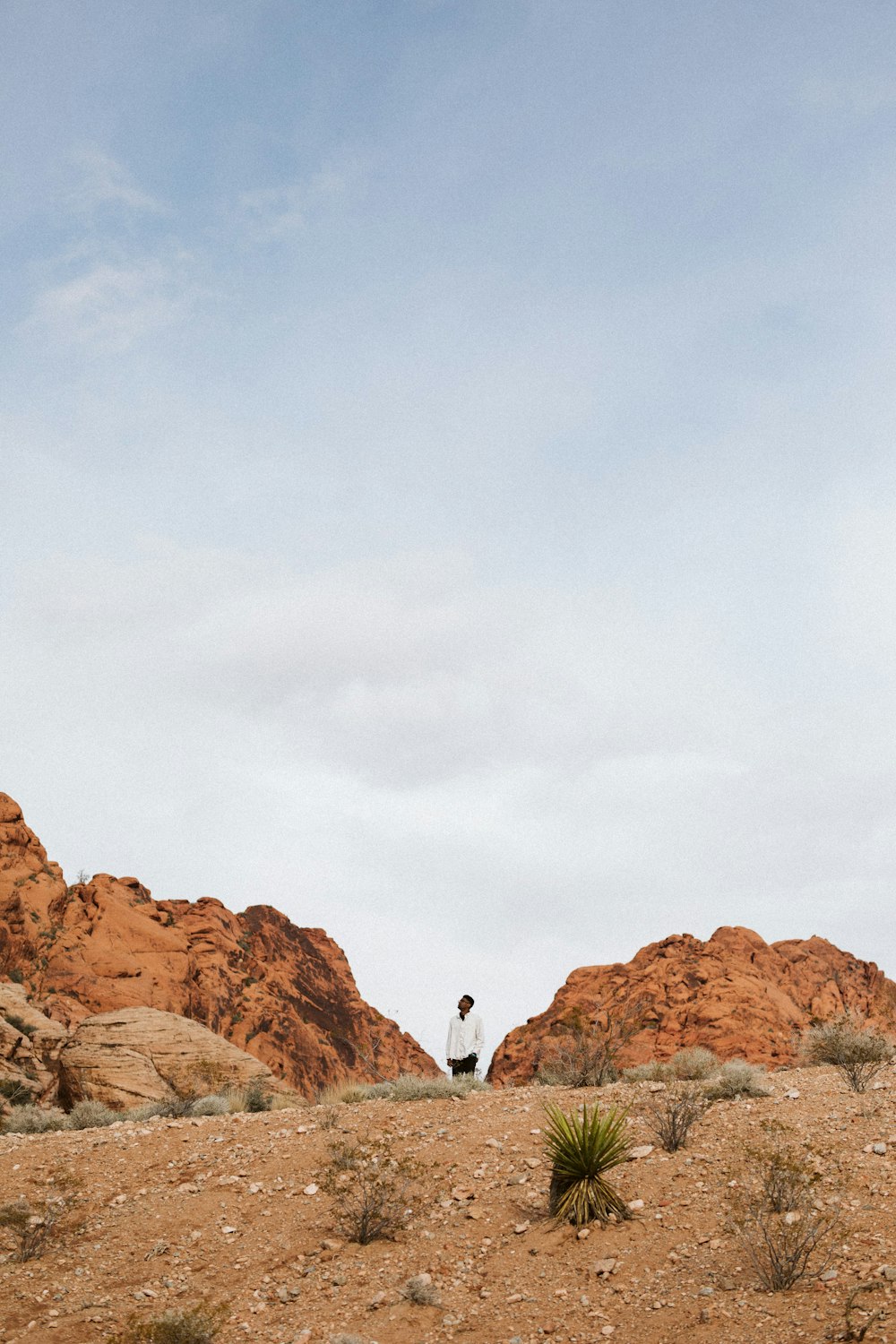 a person standing in the middle of a desert