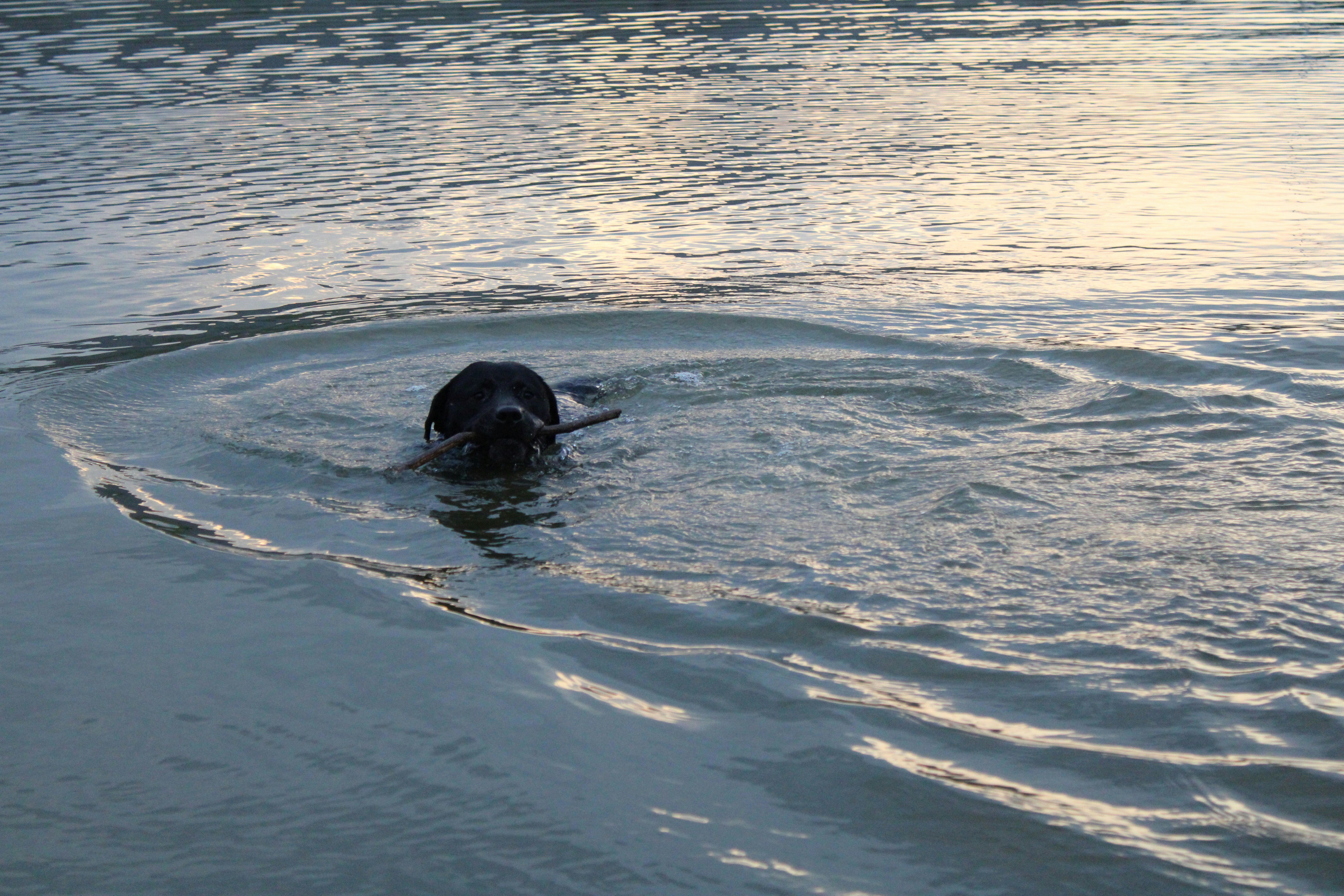 Photo by fatemehmousaviany