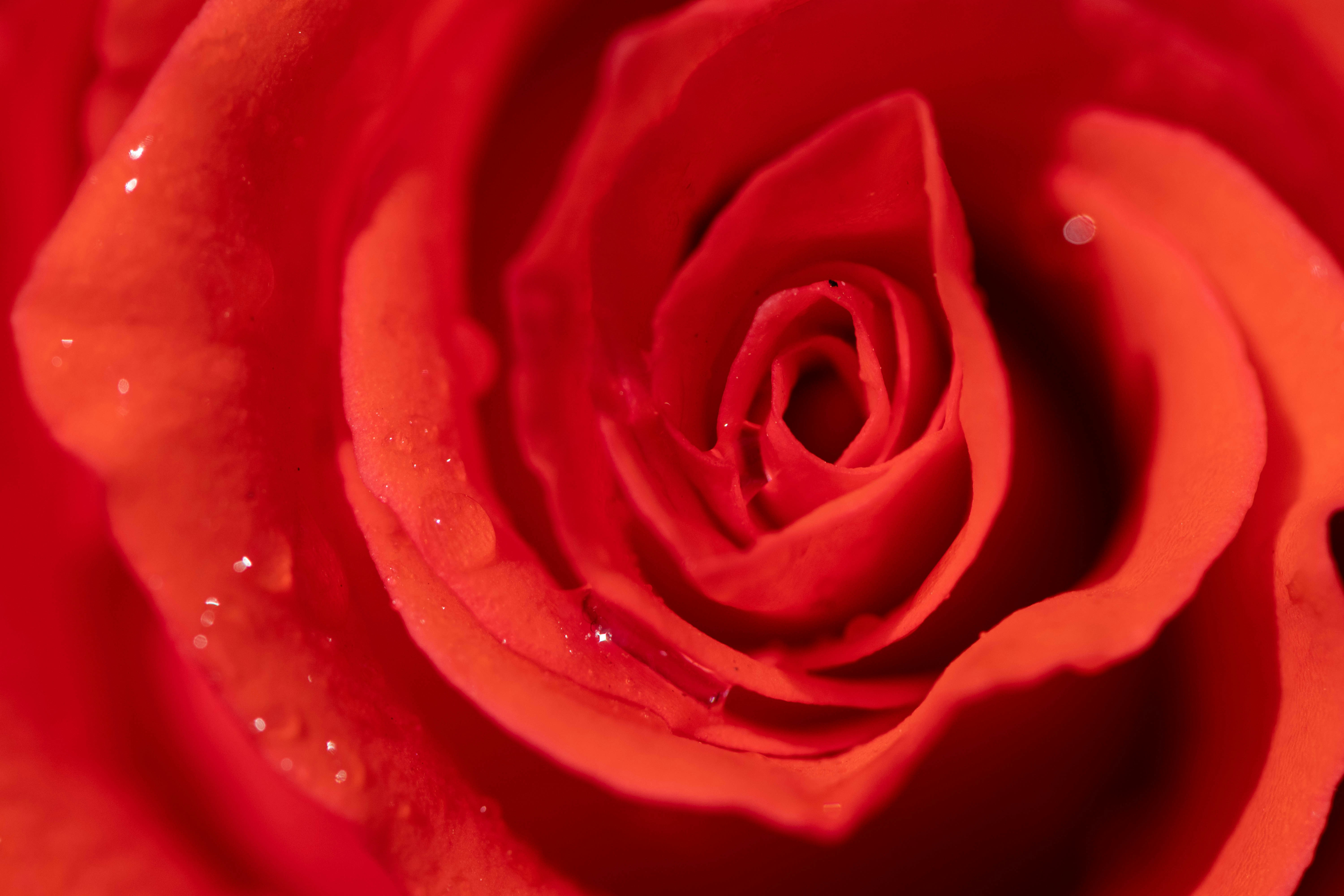 Photo by vinod_choudhary_084