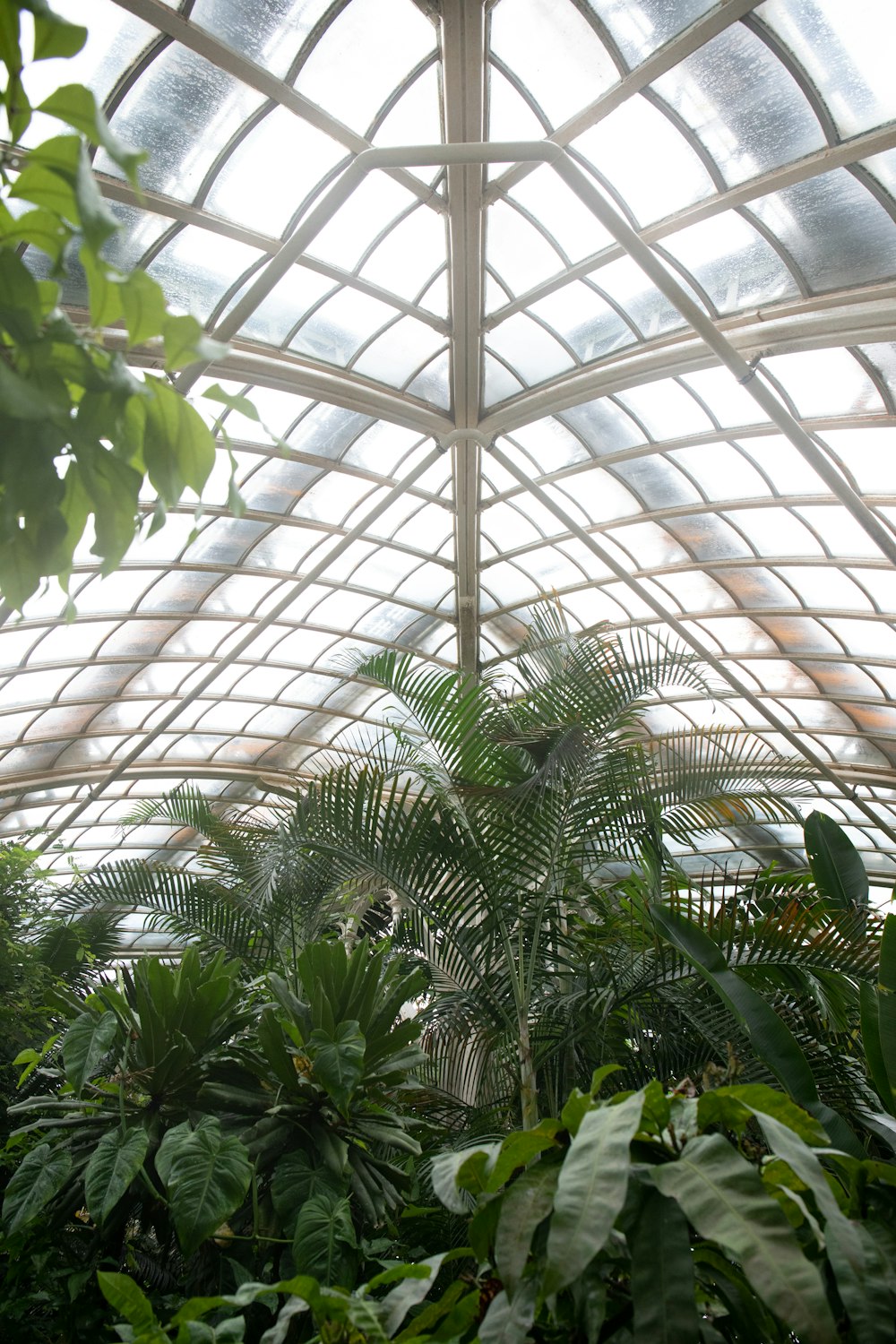 the inside of a building with a lot of plants inside of it