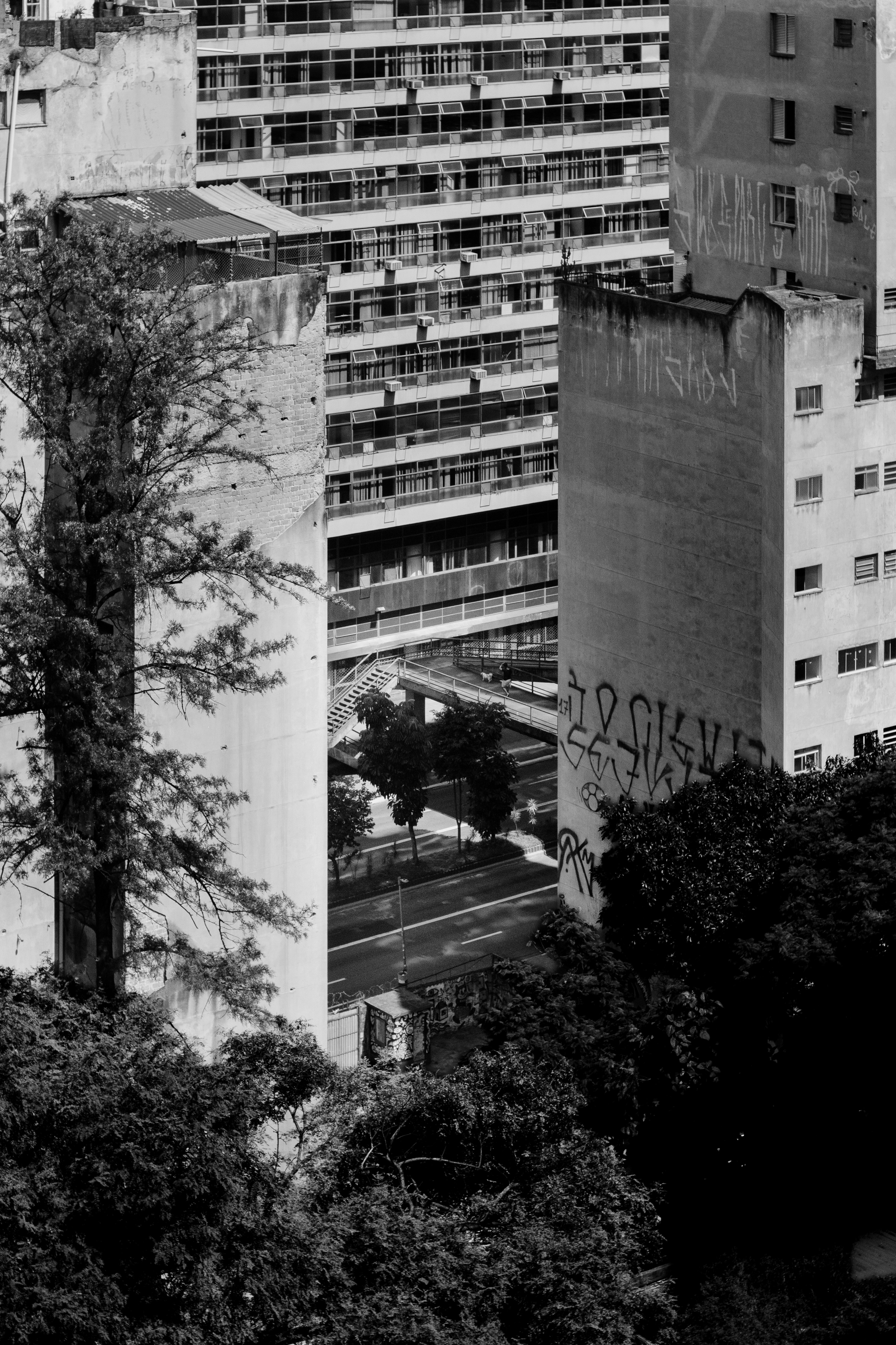 Photo by diegocarneiro