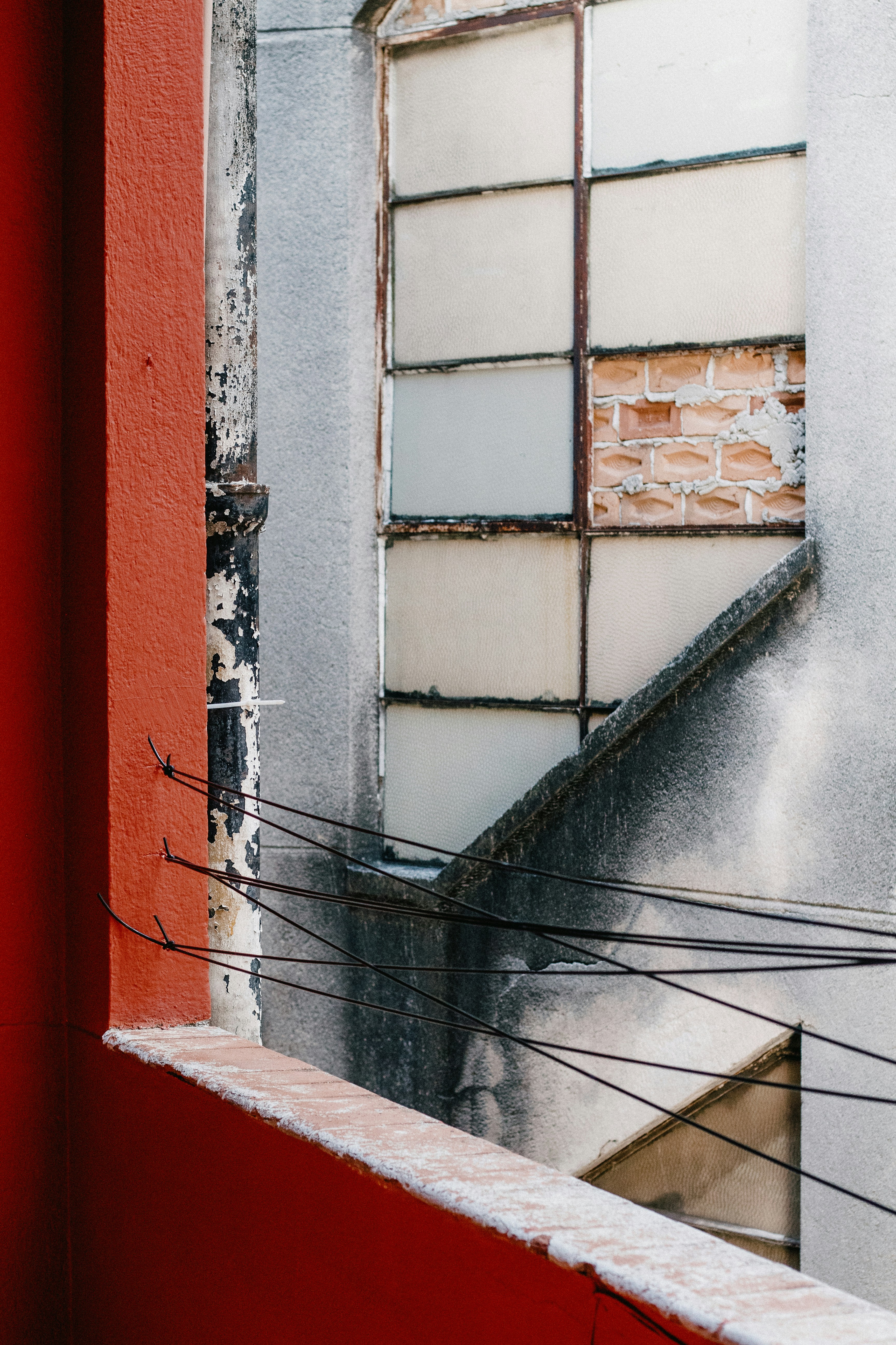 Photo by diegocarneiro