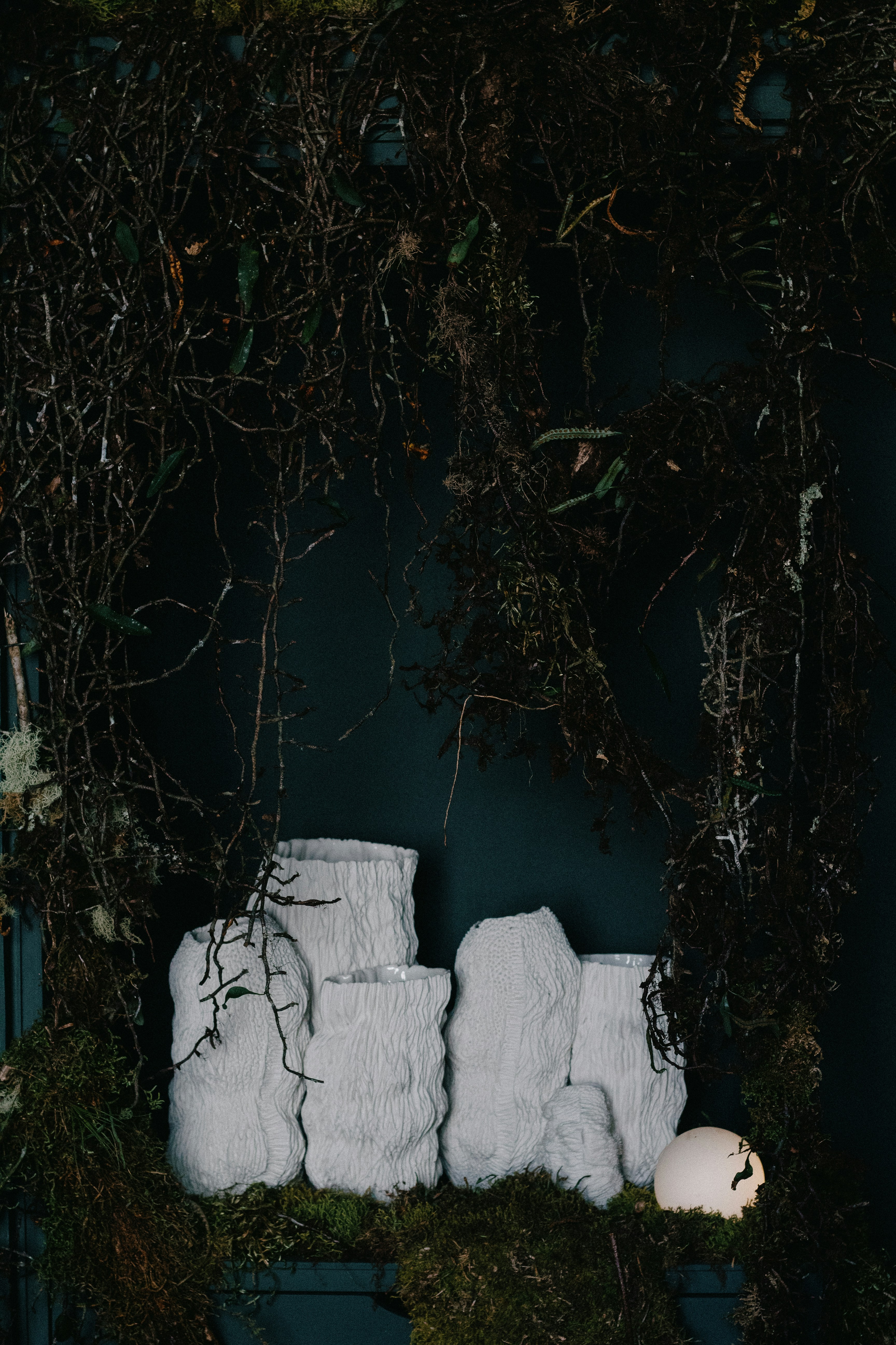 Photo by diegocarneiro