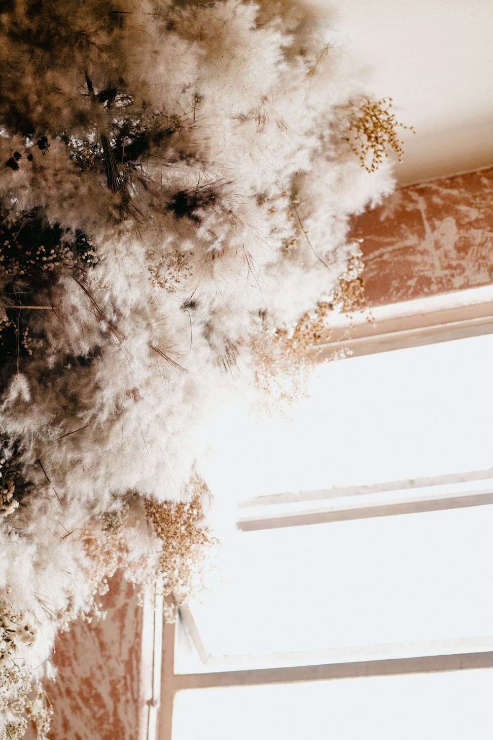 eine weiße Blume, die neben einem Fenster von der Decke hängt