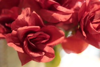 Close-up of elegant satin fabric and rich burgundy flowers, capturing the warm, chic atmosphere of the celebration.