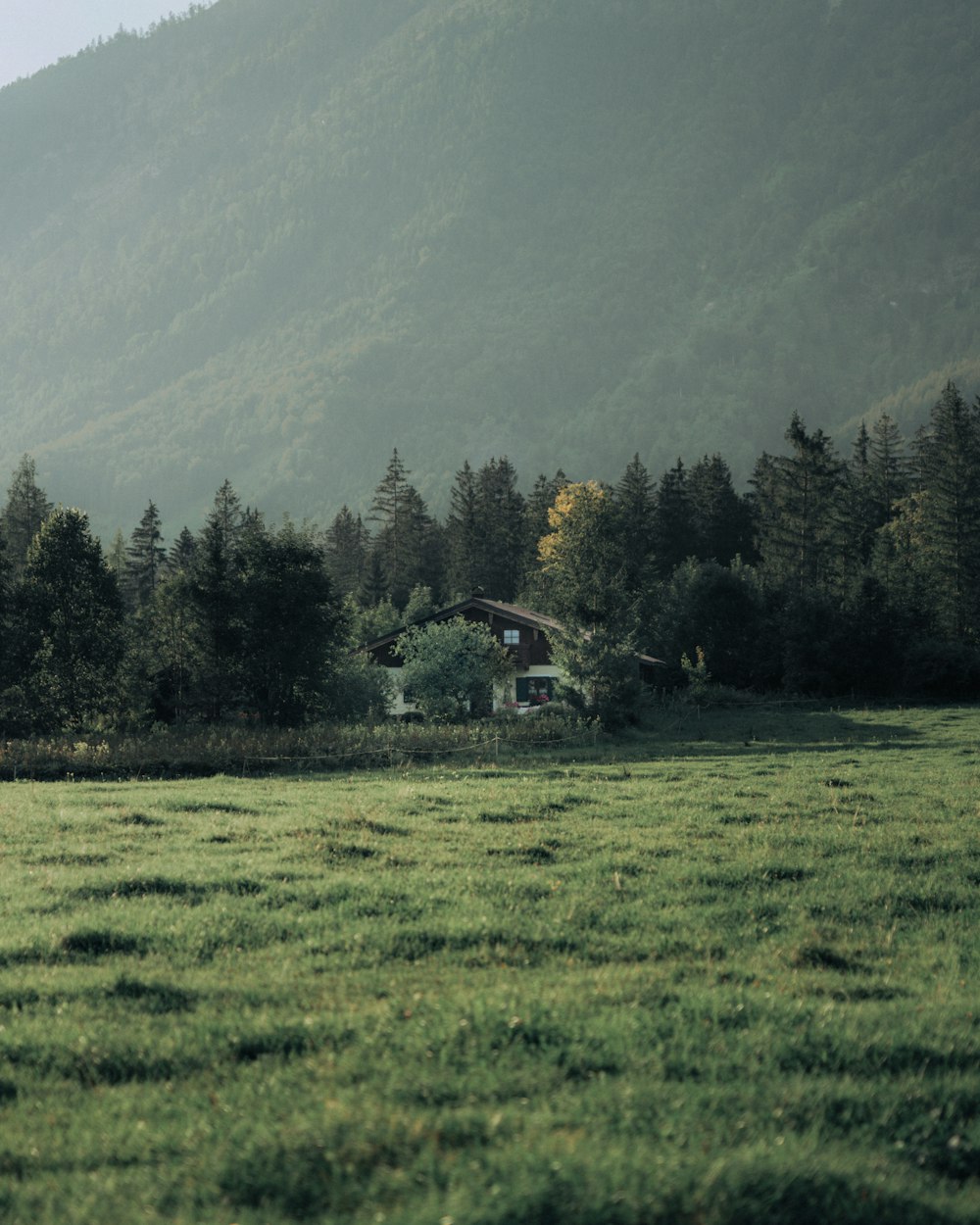 a large field with a house in the background