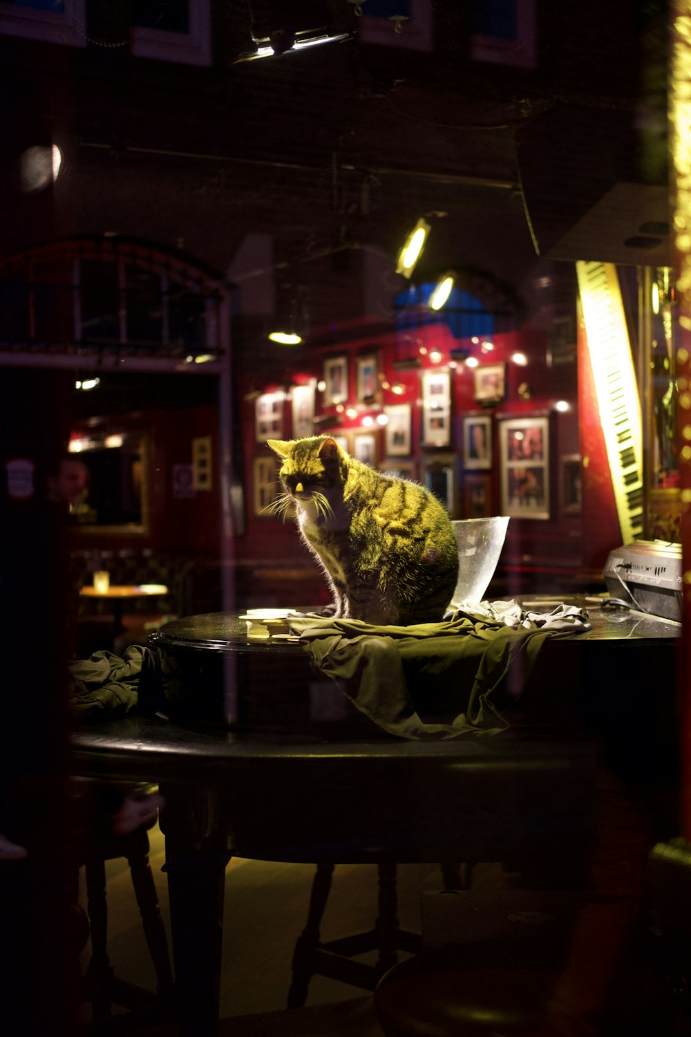 un gatto seduto sopra un tavolo di legno