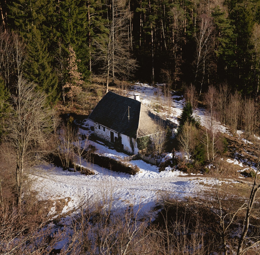 a house in the middle of a snowy forest