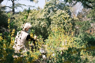 A person with white hair, wearing a face mask and a beige vest, is surrounded by lush green foliage and yellow flowers. The background displays a dense growth of trees and bushes. The environment appears peaceful and natural.