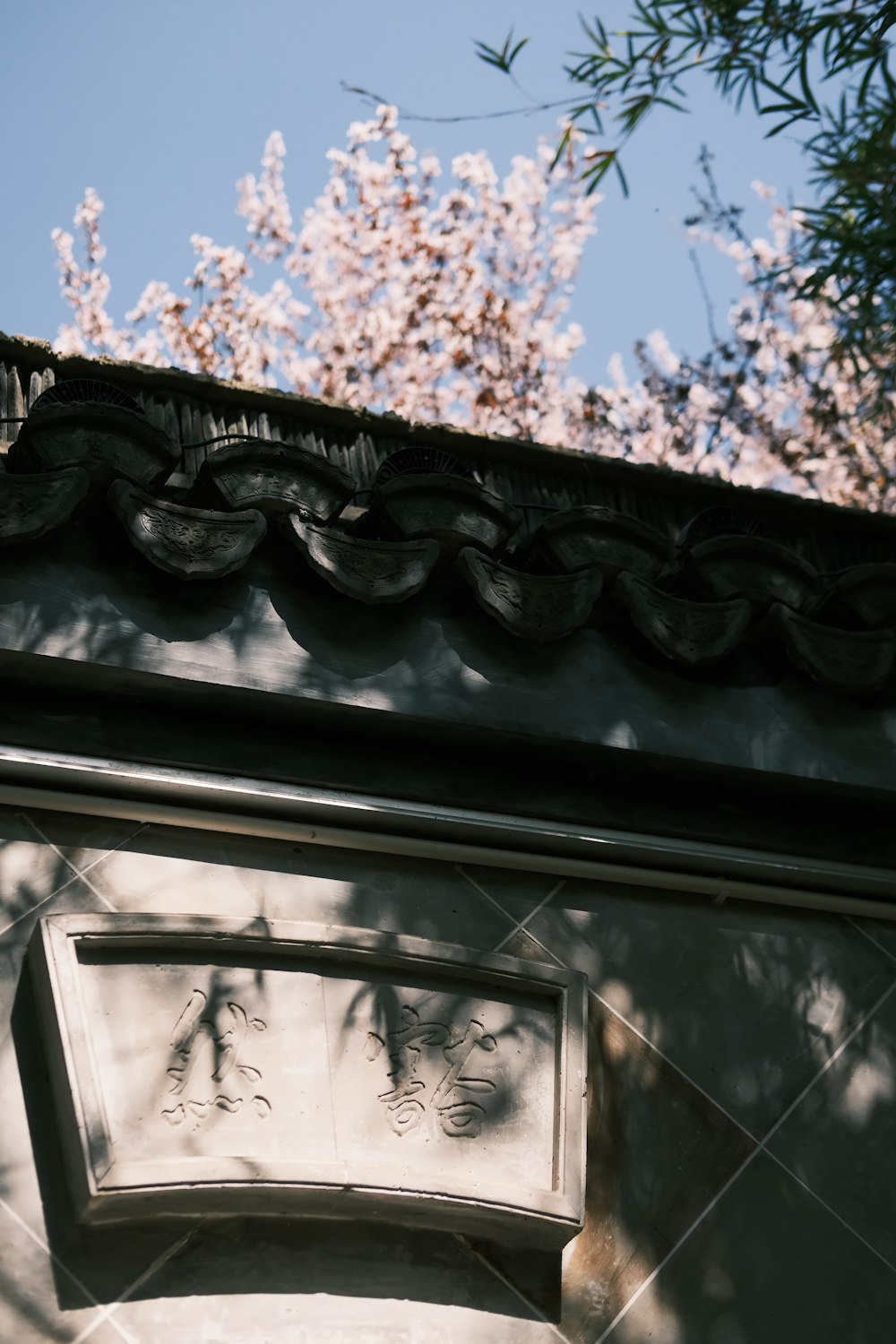 a close up of a building with a tree in the background