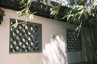 Sunlight filters through bamboo leaves, casting shadows on a cream-colored wall with two carved openings. The lattice patterns in the windows are ornate, providing a glimpse of greenery beyond. The tranquil setting is enhanced by the play of light and shadow on the textured surface.