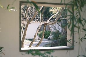 View of the peaceful garden visible from the single room window.