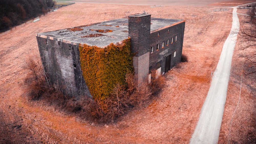 an abandoned building in a field with a dirt road