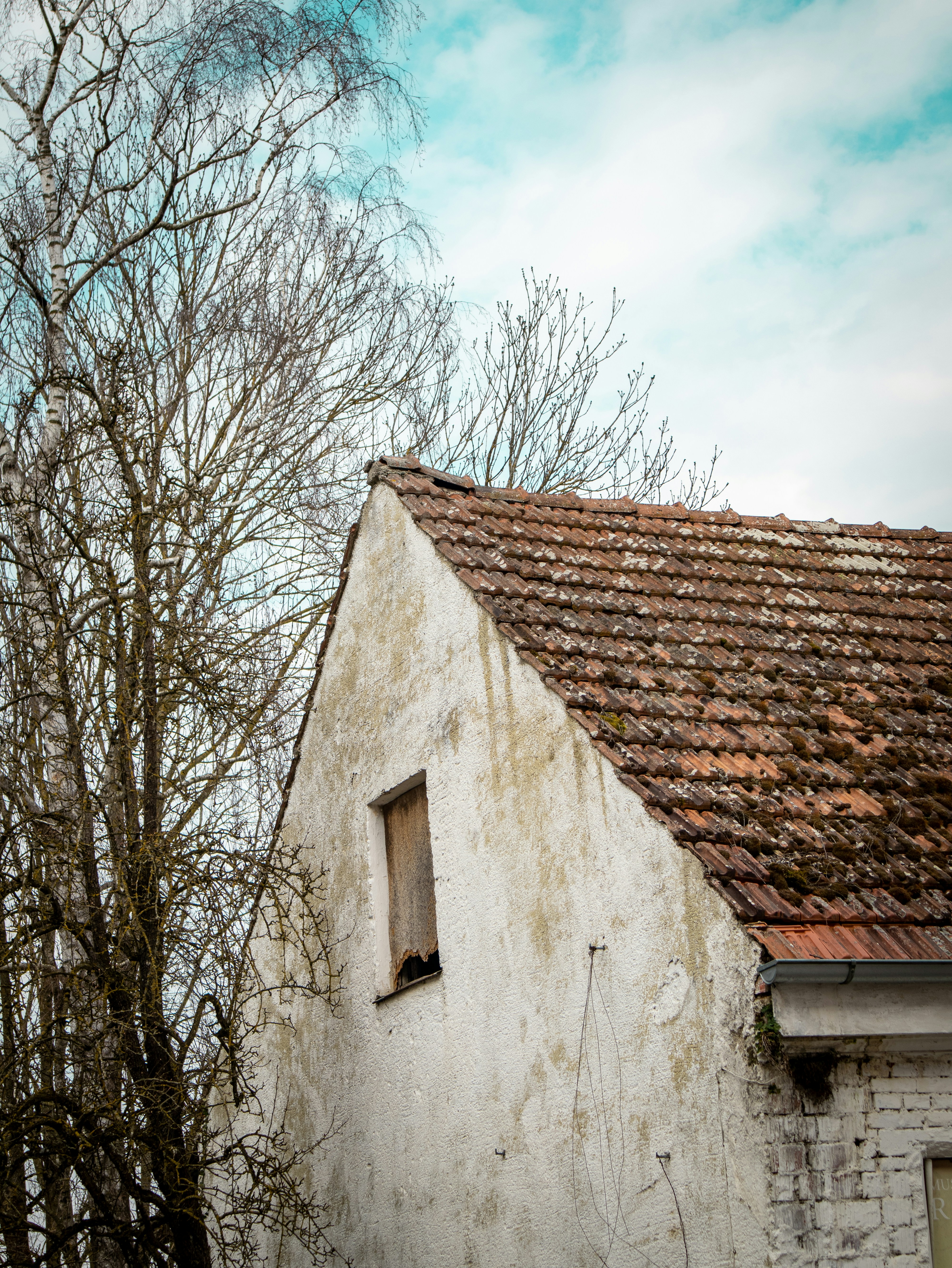 Photo by goosebumpsteam