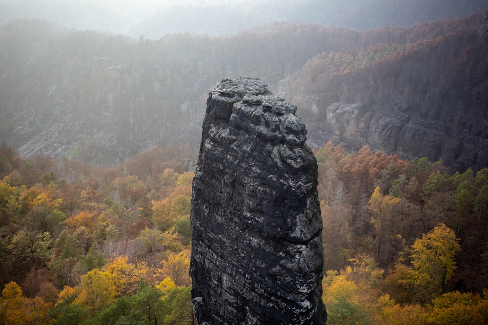 a large rock in the middle of a forest