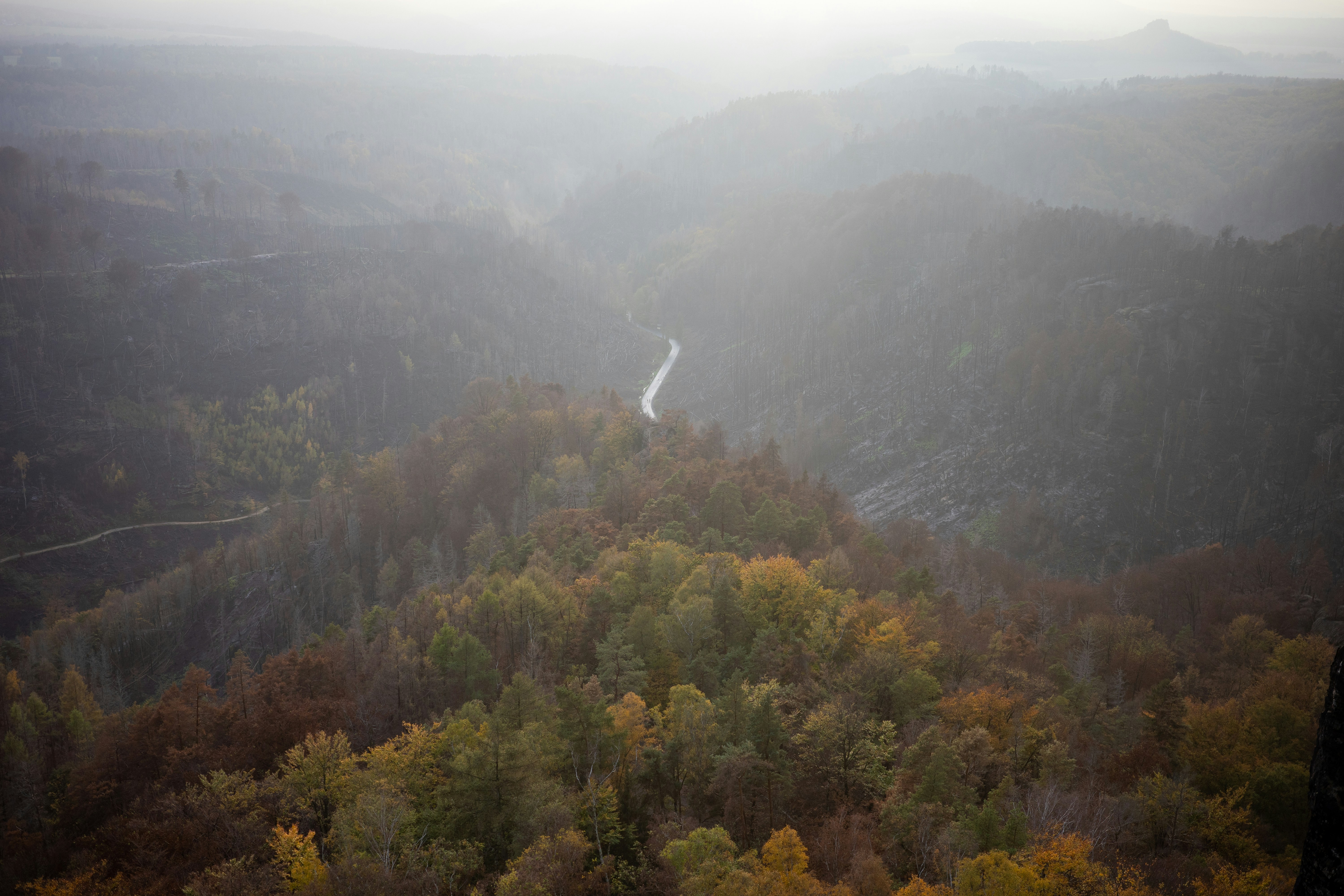 Photo by illiatakesphotos